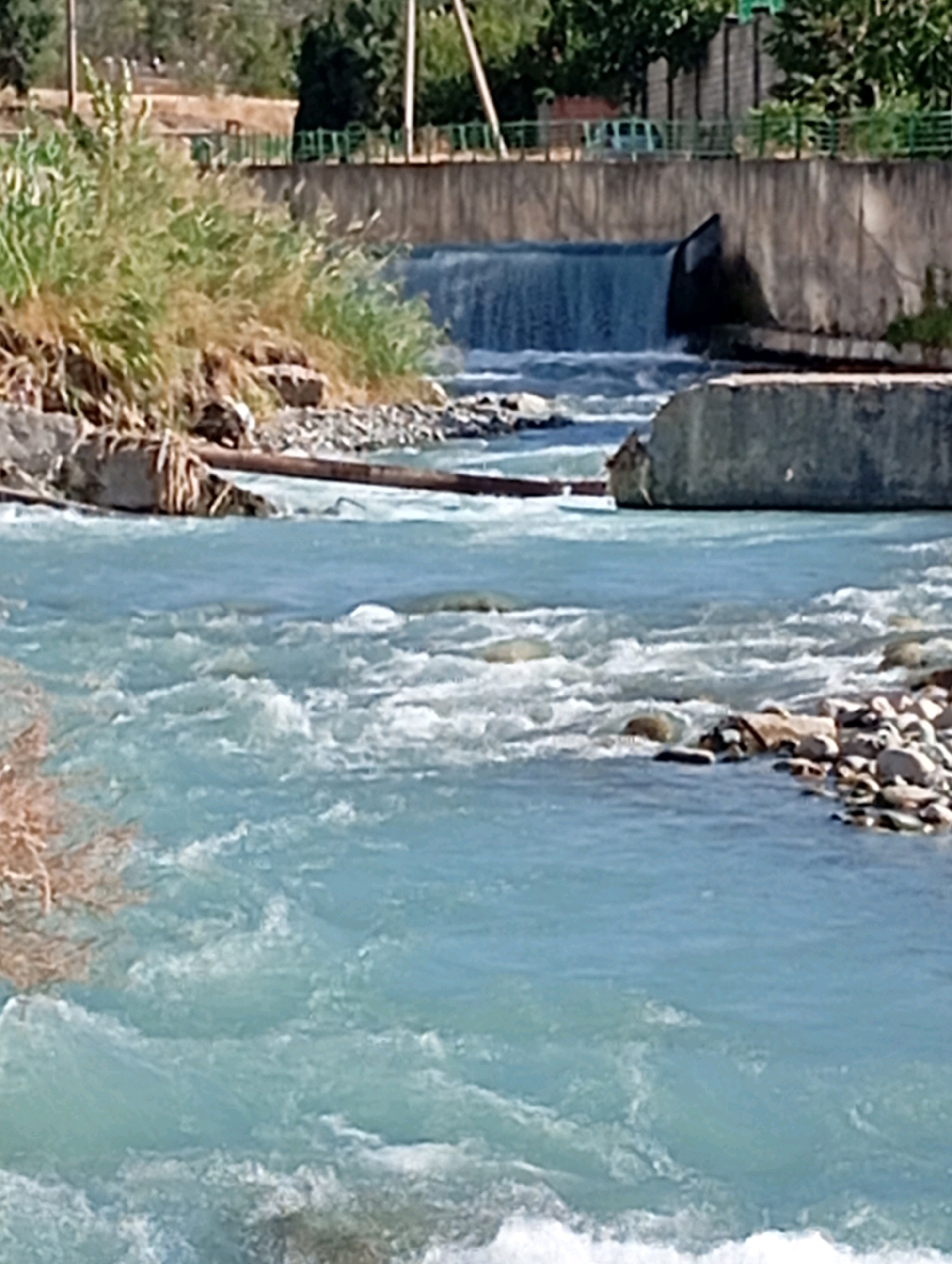 The image captures a natural scene with a flowing river, likely in Bishkek City, Kyrgyzstan, given its characteristic turbulent, clear blue water and rocky banks. In the background, a concrete structure, possibly a bridge or dam, spans the river, with a small waterfall cascading over it. The banks are lined with vegetation, including tall grasses and trees, suggesting a semi-urban or park-like setting. The water is in motion, with visible ripples and whitecaps indicating a moderate current. The overall impression is one of a serene yet dynamic natural environment.
