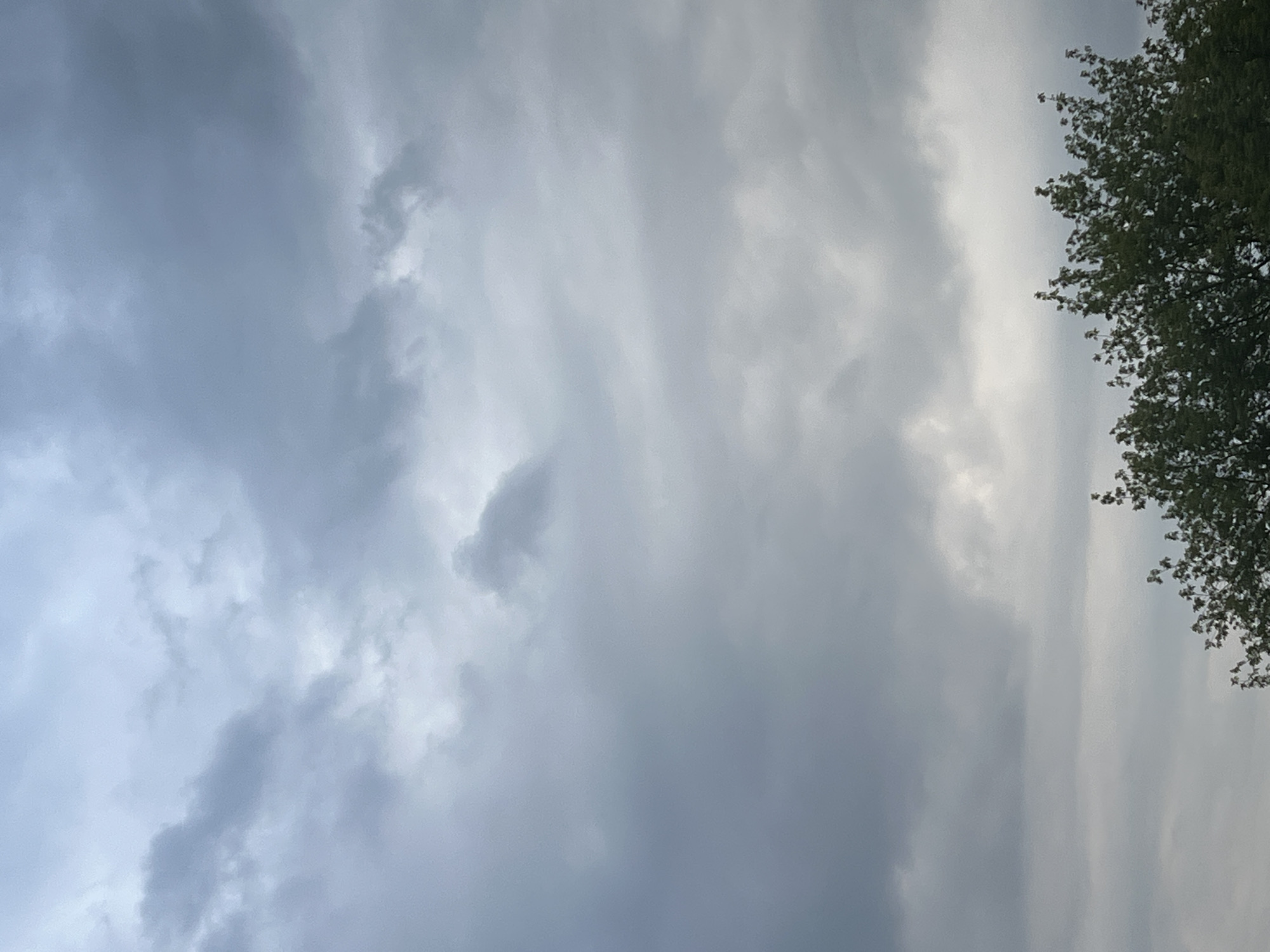 A photograph taken from a low angle looking up at a cloudy sky. The clouds are a mix of dark and light grey, with some areas appearing almost white. In the lower right corner of the image, the top branches of a dense, green tree are visible. The scene appears to be an outdoor environment, likely in Warsaw, Poland, given the metadata. There are no people or specific landmarks visible to pinpoint the exact location within the city. The lighting suggests it is daytime, possibly overcast or nearing dusk.
