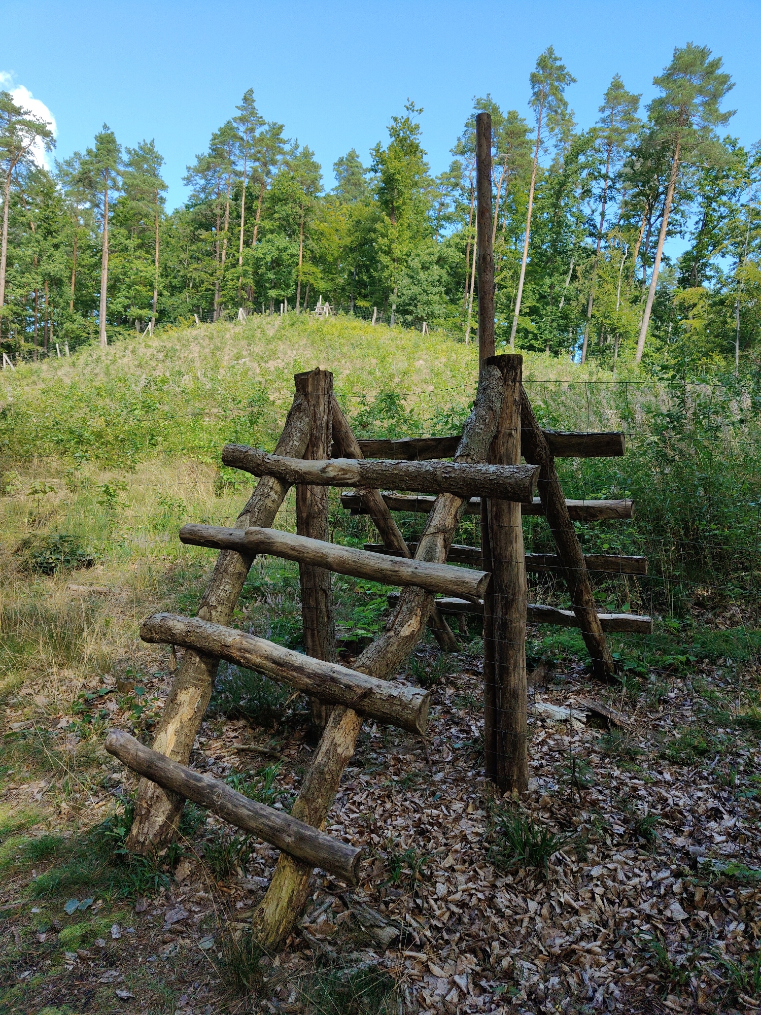 A wooden structure, possibly a game observation stand or a rustic ladder, is situated in a wooded area. The structure is made of rough-hewn logs lashed together with wire and rope. It has a triangular base with horizontal logs forming steps or platforms. The background consists of a grassy slope dotted with trees, and beyond that, a denser forest canopy. The ground in the foreground is covered with fallen leaves and dry grass. The sky is clear blue with a few wisps of clouds. The location is identified as Rumia, Poland. There are no people visible in the image.