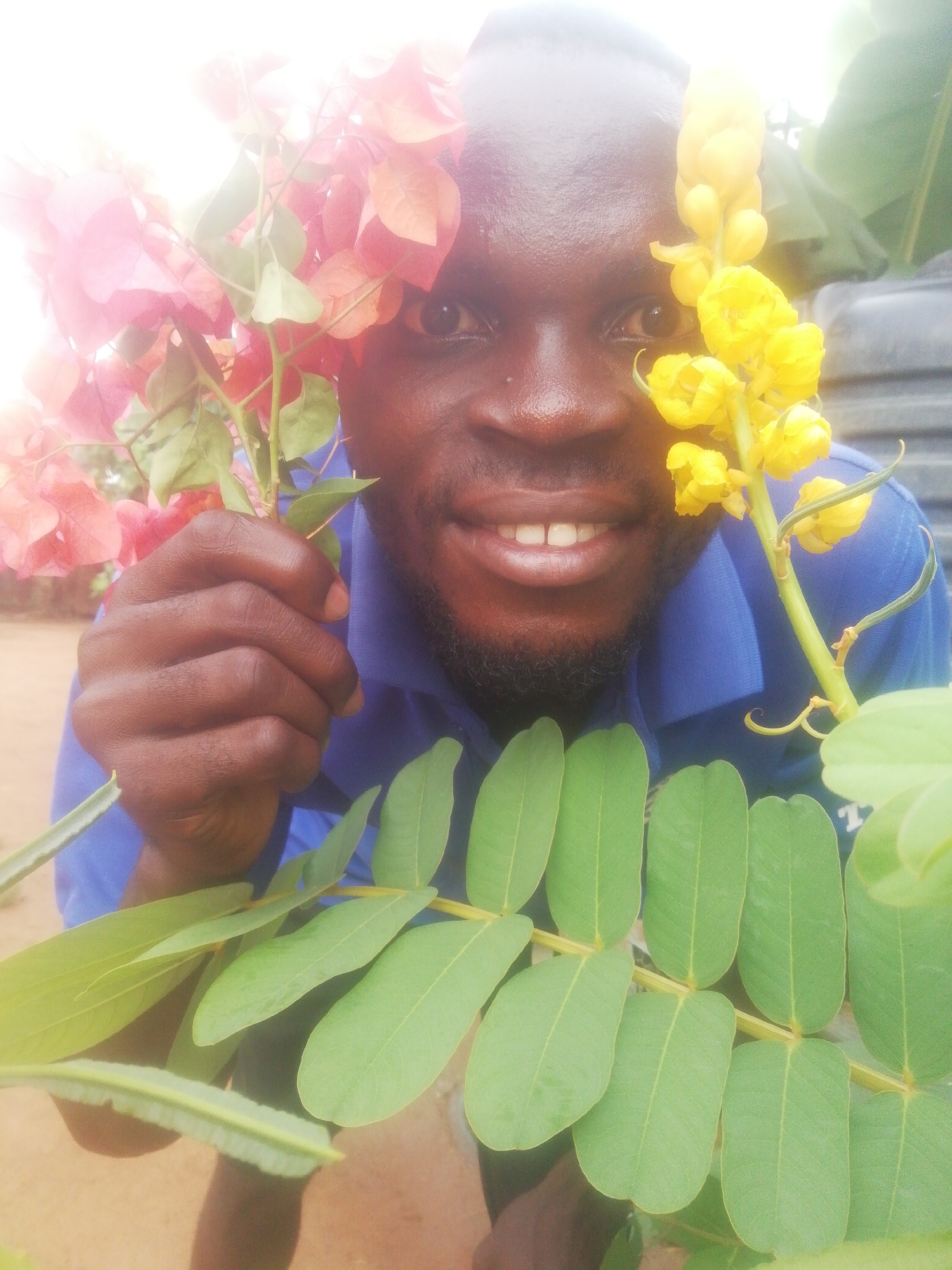An adult male with dark skin and a close-cropped haircut is centered in the frame, wearing a blue shirt with a collar. He is holding a branch of red/pink bougainvillea flowers in his left hand and a stem of bright yellow flowers in his right. A branch with multiple oval-shaped green leaves is positioned in the foreground, partially obscuring the lower portion of his body. The background includes a grey cylindrical container and a glimpse of sandy ground. The location is speculated to be Ikorodu, Nigeria, but no element confirms this.