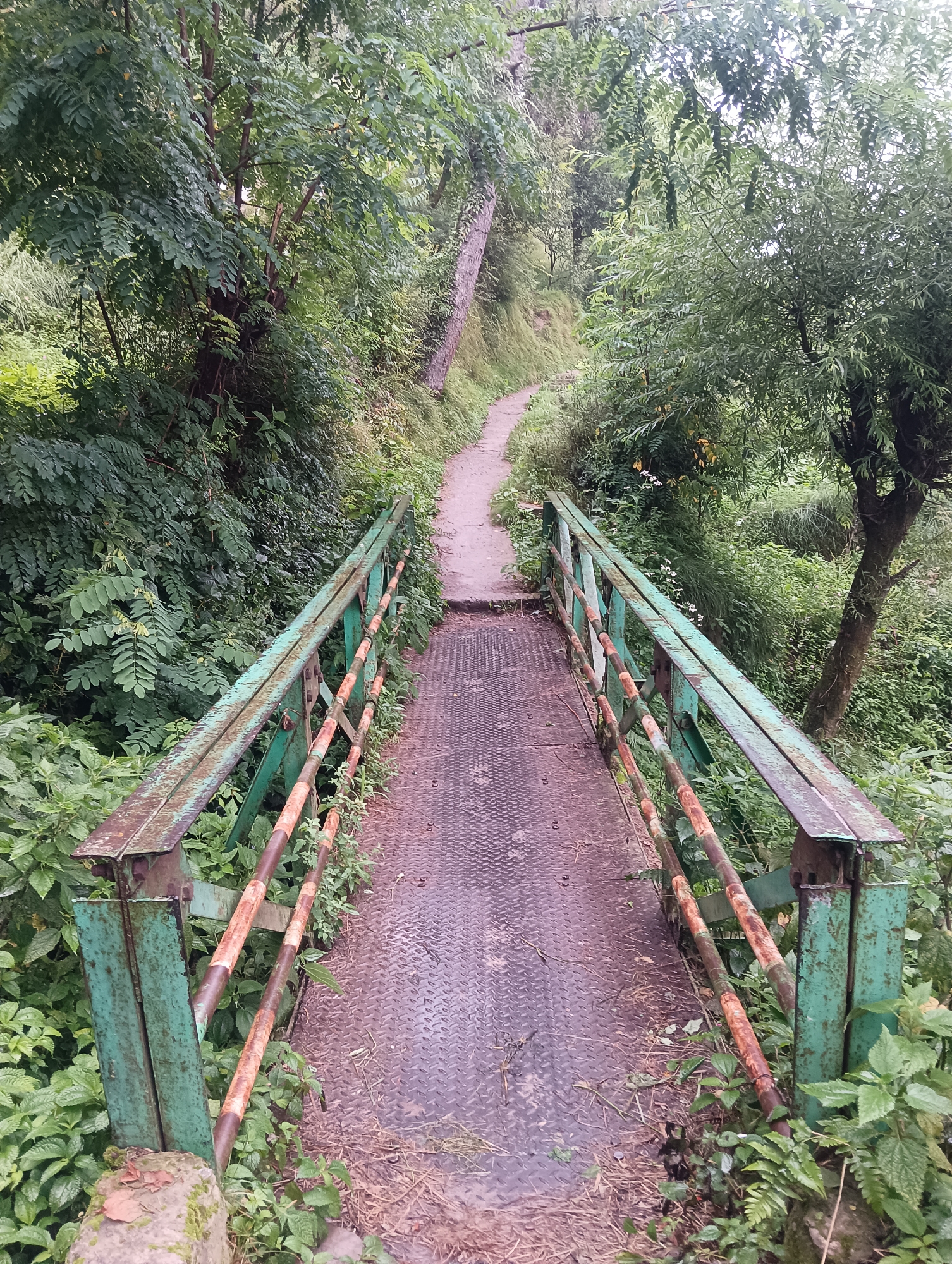 This image depicts a pedestrian bridge constructed of metal with green painted railings that show signs of rust. The bridge spans a slight incline, leading to a dirt path that winds through a lush, green forest. The surrounding vegetation is dense with various types of trees and undergrowth, suggesting a natural, possibly remote, setting. The path appears to be a trail within a natural area, likely in or near Manali, India, given the tropical foliage and the appearance of the path. There are no people or animals visible in the image. The lighting suggests it is daytime, possibly overcast due to the soft, diffused light.