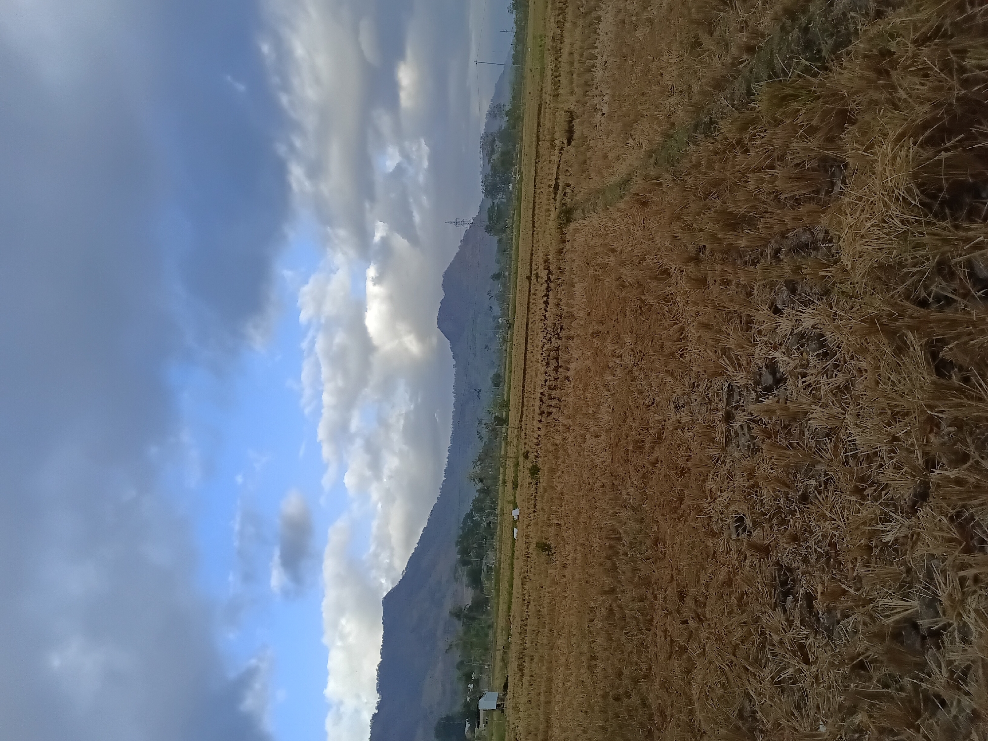 The image shows a wide, dry, harvested rice field in Bendorejo, Indonesia. The field is covered with stubble, indicating the recent removal of rice crops. In the background, rolling hills and mountains form the landscape. The sky is partly cloudy with dramatic formations of gray and white clouds against patches of blue. A few trees and structures, including what appears to be a small building and possibly utility poles, are scattered in the middle ground, adding a touch of human presence to the rural setting. The overall impression is one of a serene, rural landscape during a transitional period after harvest.