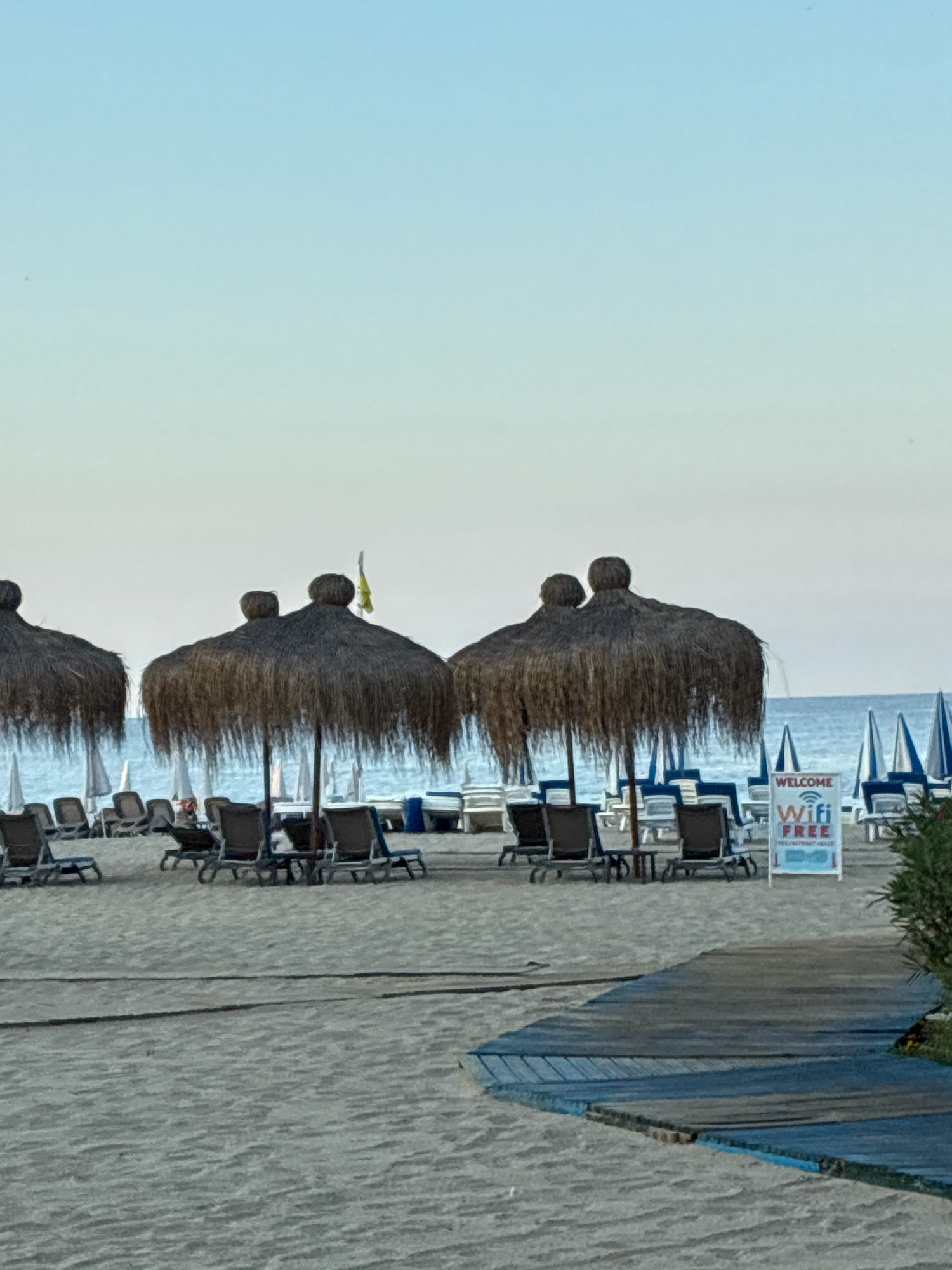 The image depicts a beach scene in Alanya, Turkey, characterized by rows of thatched umbrellas and lounge chairs set up on the sandy shore. The sky is a clear, pale blue, transitioning to a lighter hue near the horizon, indicating either early morning or late evening. The sea is visible in the background, appearing calm and blue.
In the foreground, a wooden walkway is laid across the sand. Several lounge chairs are arranged in neat rows under the shade of large, natural-fiber umbrellas. A sign that reads "WELCOME WiFi FREE" is visible to the right of the umbrellas, suggesting a public amenity.
The overall atmosphere is peaceful and tranquil, typical of a beach resort. The scene suggests a place prepared for visitors, with amenities laid out for relaxation and enjoyment. The presence of the wooden walkway indicates accessibility and a designated path across the beach. The umbrellas, made from natural materials, contribute to a relaxed, tropical aesthetic. The muted lighting suggests a time of day when the sun is not at its peak, possibly contributing to the serene mood. The water appears clear, and the sand is finely textured.