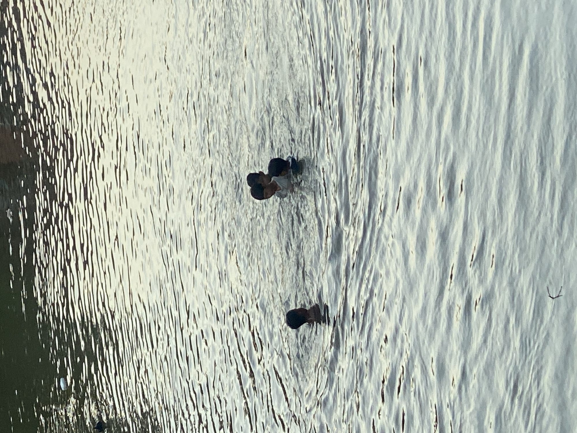 In the city of Tunggul Irang Ulu, Indonesia, four children are swimming in a body of water. Three of the children are clustered together, with their heads and shoulders visible above the surface. One child is slightly apart from the group, also with their head and shoulders above water. The water is calm with ripples, reflecting the sky and the darker shapes of the distant bank. The overall scene is one of youthful recreation in a natural environment.