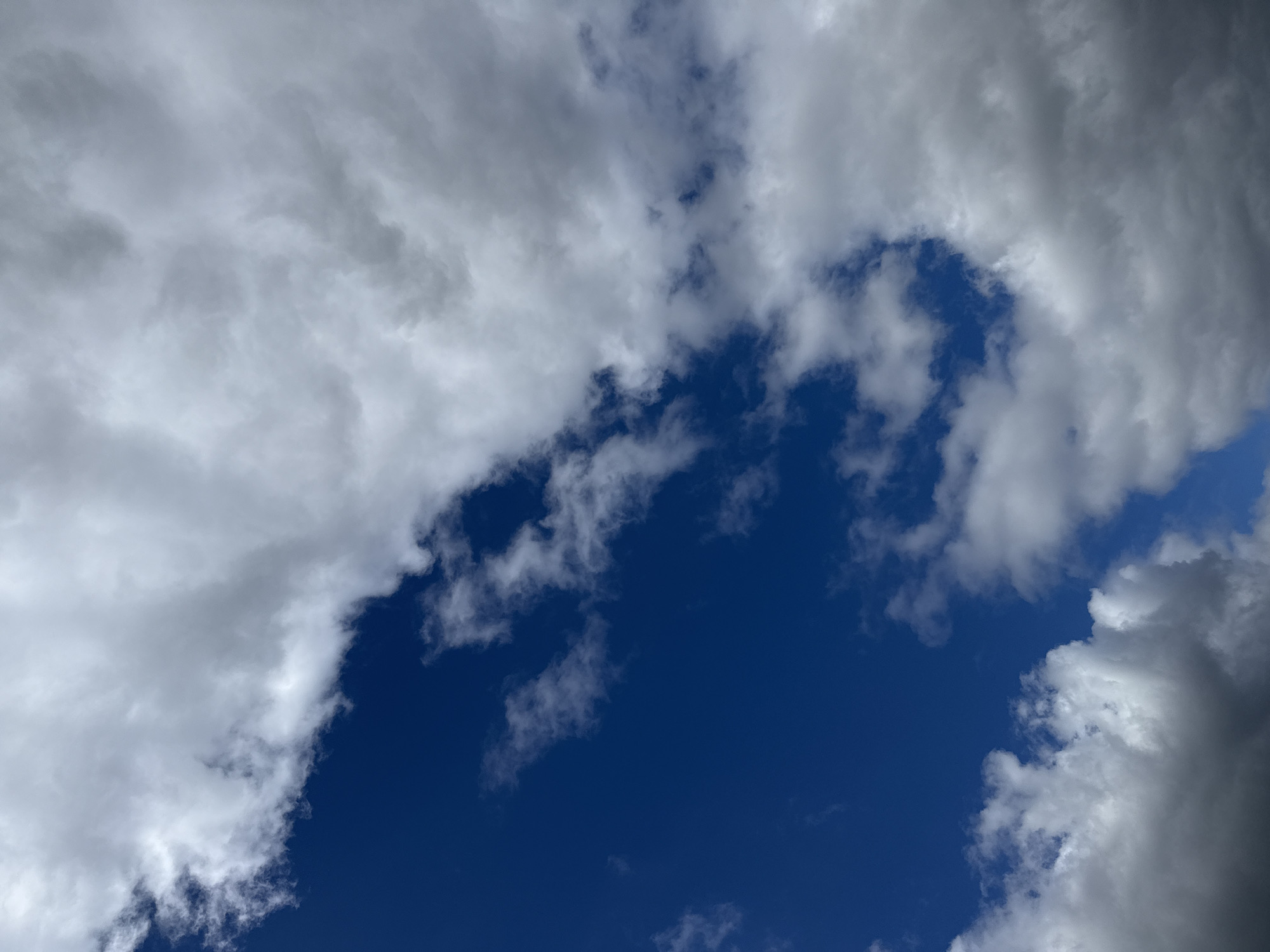 The image is an upward-facing, close-up shot of a dynamic sky with a mix of dark and light clouds against a deep blue backdrop. The clouds are a prominent feature, with large, fluffy white formations dominating the upper right portion of the frame, transitioning to more scattered and wispy white clouds in the lower half. A significant area of the sky is clear, revealing a rich, dark blue, particularly on the left side and extending towards the center. The lighting suggests a daytime scene, with some clouds casting shadows that create depth and texture.
The scene is a natural environment, specifically the sky as viewed from Großpösna, Germany. There are no visible people, subjects, or objects other than the clouds and the sky itself. No actions or interactions are depicted. The environment is solely the atmospheric conditions above Großpösna.