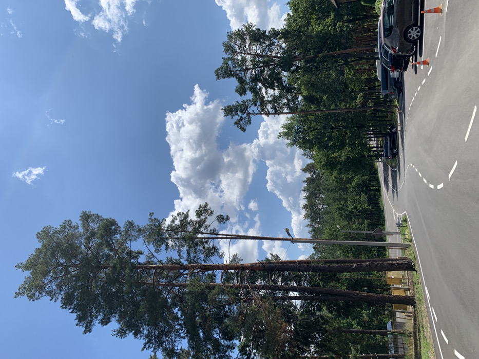 A static outdoor image depicts a paved asphalt road winding through a dense forest under a bright blue sky with scattered cumulus clouds in Mykhailivka-Rubezhivka, Ukraine. The road features crisp white dashed lane markings, curving sharply to the right in the foreground before ascending and bending left into the distance. To the immediate right, an asphalt parking area branches off, containing several parked vehicles: a dark grey hatchback is closest to the viewer, followed by a dark SUV/crossover, and a silver van or pickup truck with a bed cap. A second dark SUV/crossover is parked further along the main road on the right side. Two orange traffic cones are positioned at the edge of the parking area on the right. On the left side of the road, multiple tall, dark green pine trees stand prominently, and a single dark streetlight pole is situated among them. A light-colored fence and indistinct yellow structures are partially visible behind the trees on the far left. The scene is devoid of any visible individuals, actions, or interactions.