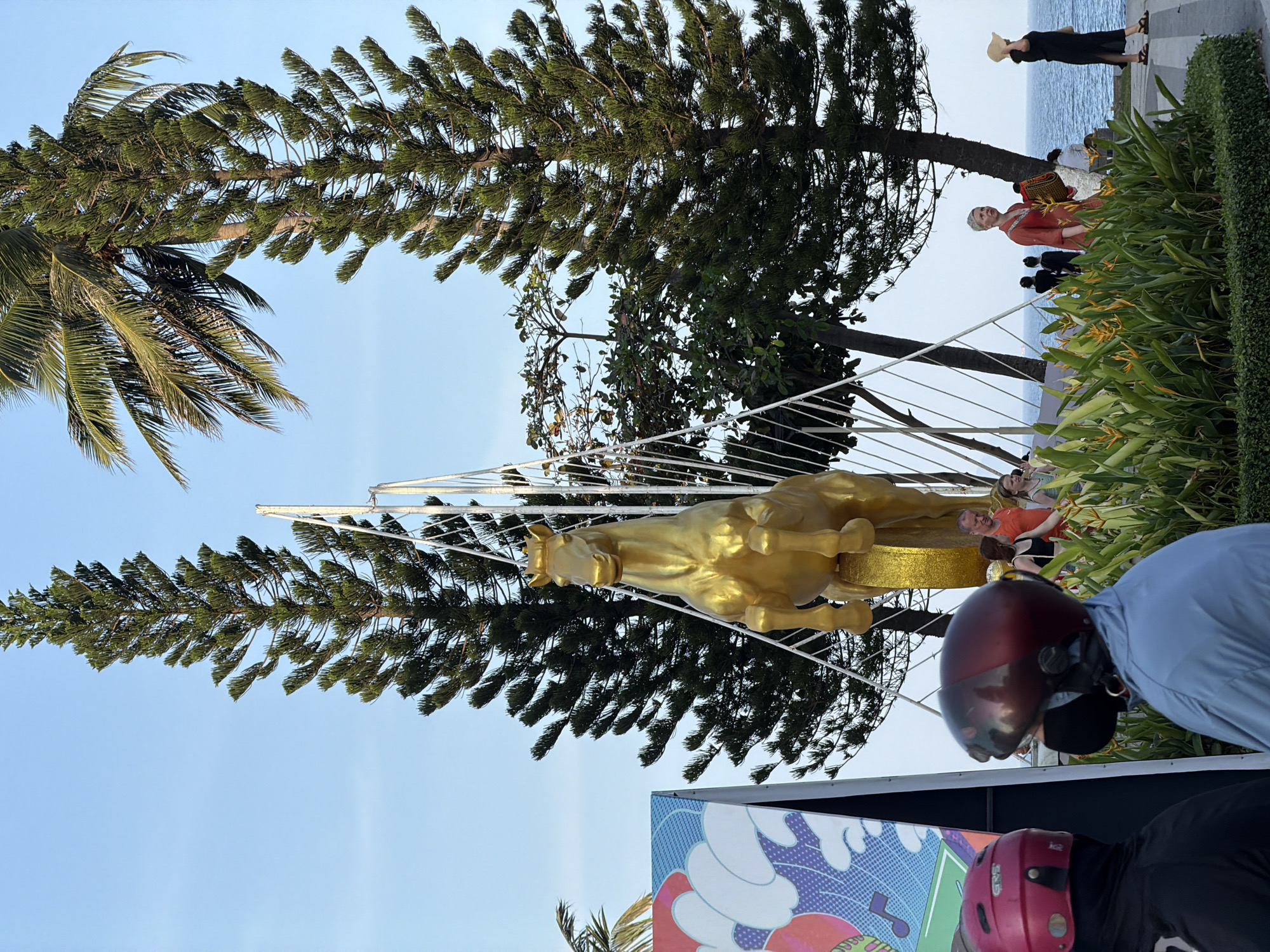 The image depicts a public park or promenade along the coast in Nha Trang Ward, Vietnam, under a clear, light blue sky.
In the center, a large, golden, rearing horse statue is prominently displayed on a gilded, cylindrical base. The statue appears metallic. Behind and to the left of the horse, a tall, slender conifer-type tree with dense green foliage stands. To the right of the horse, another similar, wider conifer-type tree is visible, with a palm tree partially obscured behind its upper portion. A white, skeletal metal structure, possibly part of a decorative archway or light installation, rises behind the horse and extends towards the left.
In the mid-ground, lush green foliage, including bright orange bird-of-paradise flowers (Strelitzia), forms a landscaped bed. Behind this greenery, a paved walkway runs parallel to the ocean.
On this walkway, several individuals are present. Towards the right, a woman with short blonde hair, wearing an orange-red dress and carrying a woven bag, walks rightward. Behind her, closer to the ocean, another woman in a long black dress and a straw hat also walks rightward, appearing to adjust her hat. Further in the background along the walkway, several indistinct figures are visible.
The calm blue ocean occupies the far background, with faint outlines of distant ships or boats on the horizon.
In the foreground, to the left, two individuals are seen from behind, wearing helmets. One wears a red helmet and a dark jacket, positioned next to a colorful billboard or display featuring abstract patterns in blue, white, pink, and purple. The other individual wears a maroon helmet, a black face mask, and a light blue jacket. They appear to be stopped.
Near the base of the horse statue, in the mid-ground, several people are gathered, some partially obscured by the statue or the foliage. One man in an orange sleeveless top and a woman in a black sports bra are visible among them.