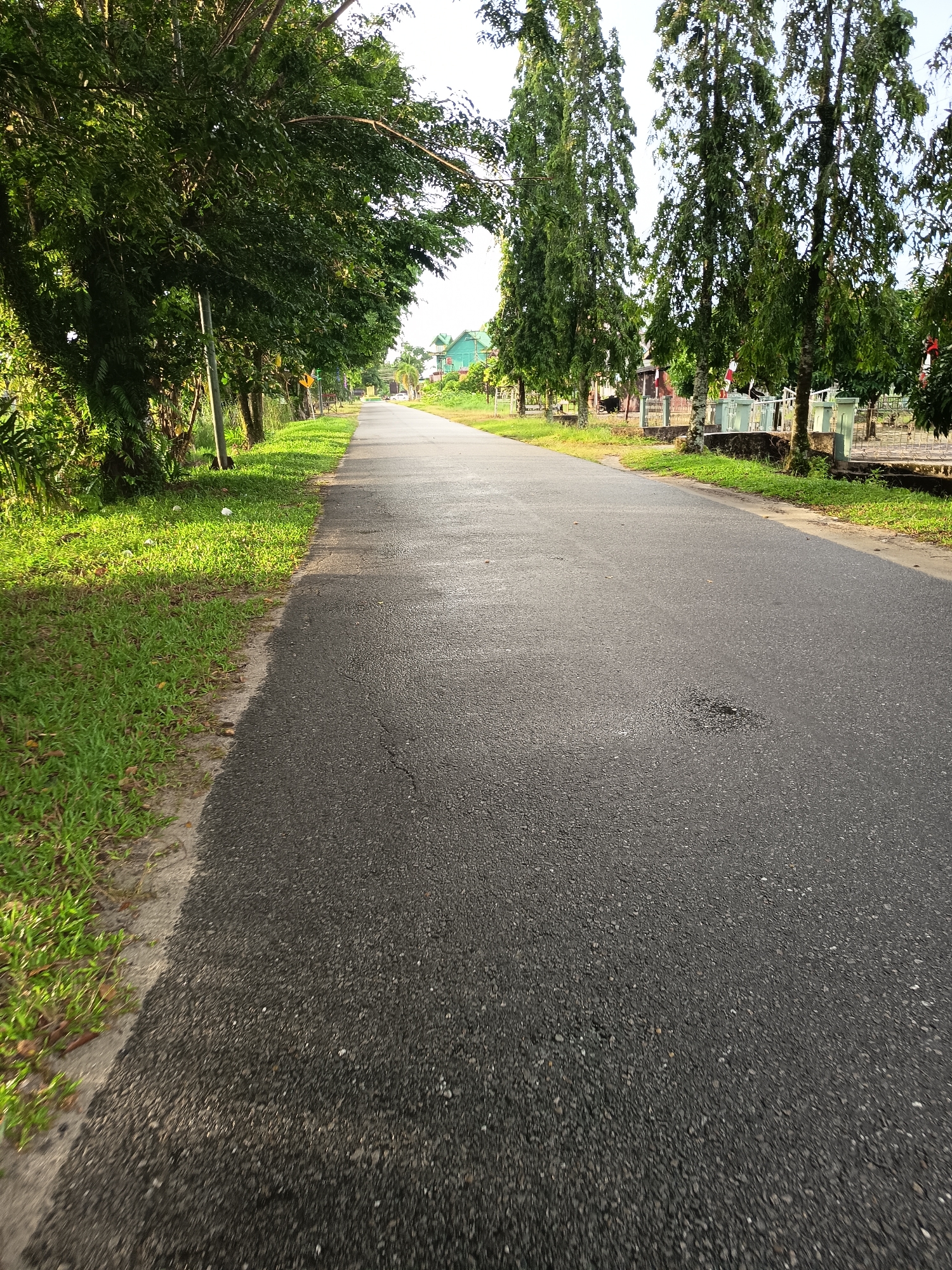 The image depicts a straight, asphalt road in Singkil, Indonesia, with a grassy verge on the left and trees lining both sides. On the left, mature trees with dense green foliage cast shadows onto the road and grass. The grass appears well-maintained and is illuminated by sunlight. A utility pole is visible along the left edge of the road.
On the right side of the road, a line of tall, slender trees with sparse foliage stretches into the distance. Beyond these trees, there are fences and some buildings visible, including what appears to be a light-colored, modern house with green trim. The road itself is dark gray and shows some texture and minor imperfections. The sky is bright and hazy, suggesting daylight. The scene is tranquil and appears to be a residential or suburban area. There are no people or vehicles visible in the image.