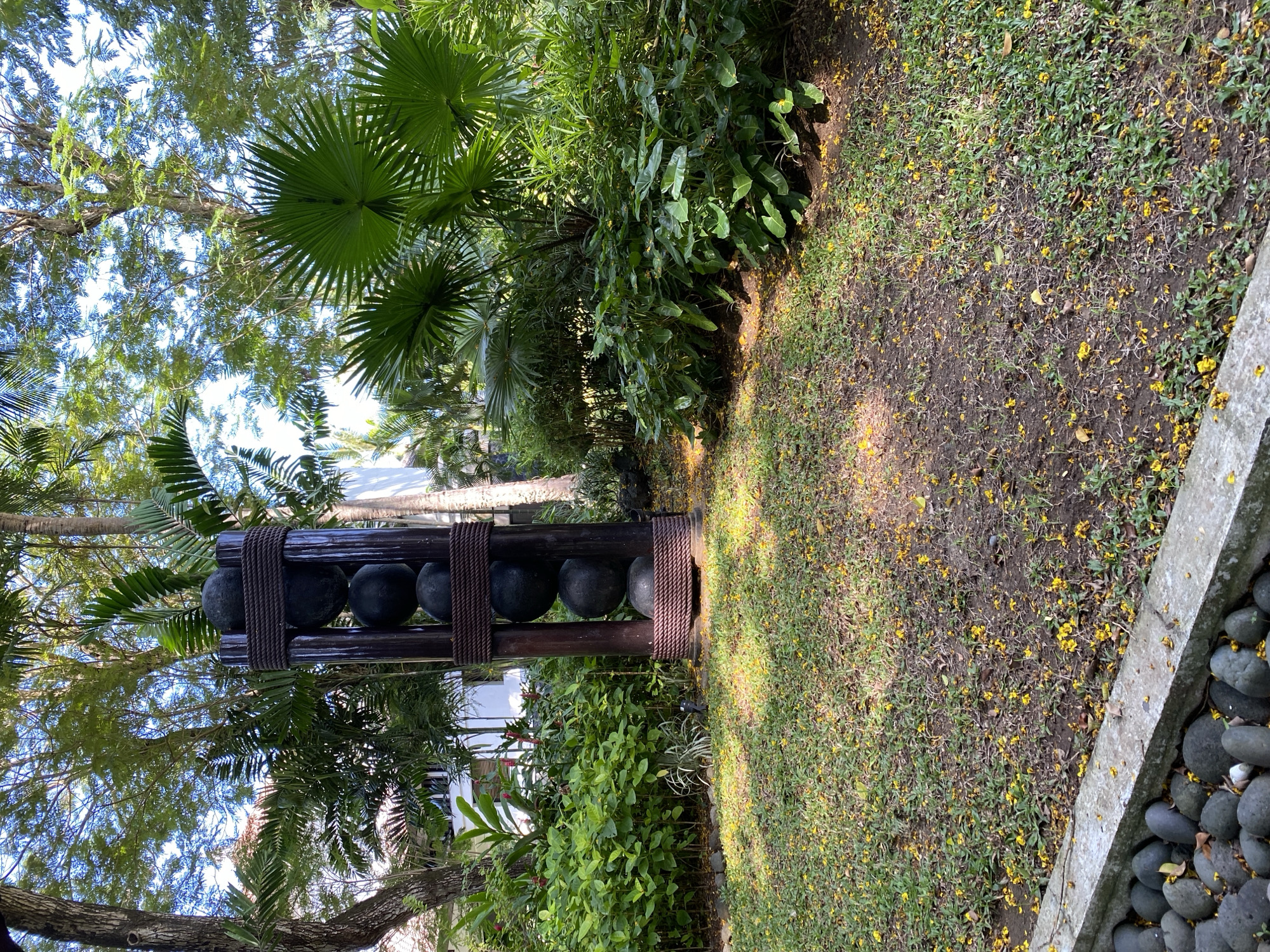The image shows a section of a garden in Kuta Selatan, Indonesia. A tall, dark wooden structure is present, featuring six black spherical objects held in place by thick, brown rope. The structure is surrounded by lush tropical foliage, including palm trees and various green plants. The ground is covered in grass with scattered yellow flowers. A concrete border with dark gray stones runs along the edge of the image on the right side. The sky is visible through the trees.