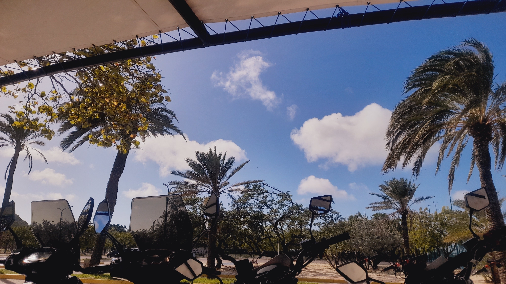 In a scene capturing a bright, sunny day under a blue sky with scattered white clouds, a row of motorcycles with large windshields and mirrors are parked in the foreground. The motorcycles are dark-colored and mostly obscured by the frame of a shaded structure with a beige canopy and dark metal beams overhead. Beyond the motorcycles, a lush landscape unfolds featuring various palm trees, some with fronds swaying in the wind, and other leafy green trees. The ground appears to be a sandy or gravelly surface. The overall impression is one of an outdoor recreational or parking area, possibly near a coastal or tropical setting, given the prevalence of palm trees. The location is identified as Pedro González, Venezuela. There are no people visible in the image.