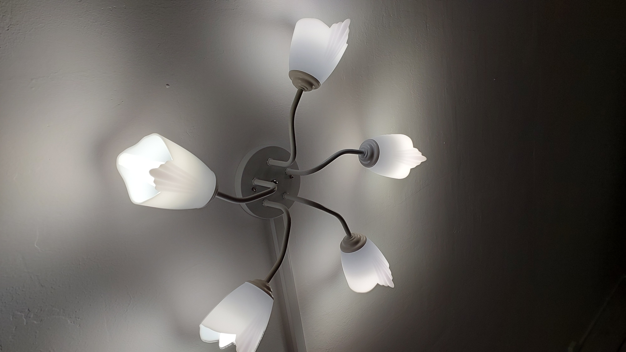 The image shows a ceiling light fixture with five tulip-shaped glass shades. The light fixture is mounted on a white ceiling. The shades are illuminated, casting a warm glow. The overall scene suggests an indoor environment, likely a home or office. There are no people or specific landmarks that would indicate a location within Novocheboksarsk, Russia.