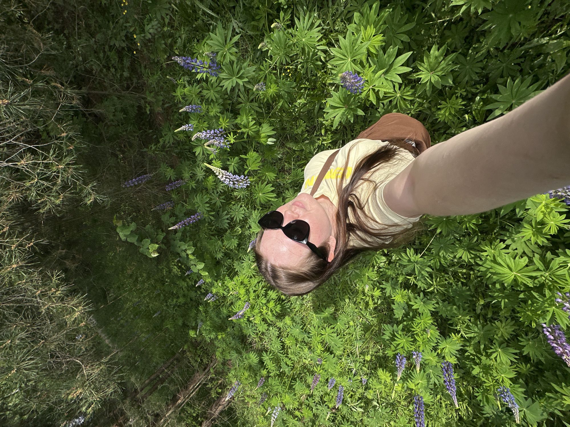 A high-angle, full-body selfie captures a young woman standing in a field of green foliage and purple lupine flowers. The woman is wearing a light yellow t-shirt, dark sunglasses, and a brown crossbody bag. She is holding the camera at arm's length, with her arm extending into the lower right corner of the frame. The background consists of dense green trees, suggesting a natural, possibly wooded area. The scene is illuminated by bright sunlight, creating shadows and highlights. The location is the city of Chaikovsky, Russia, based on the metadata of the original image.
