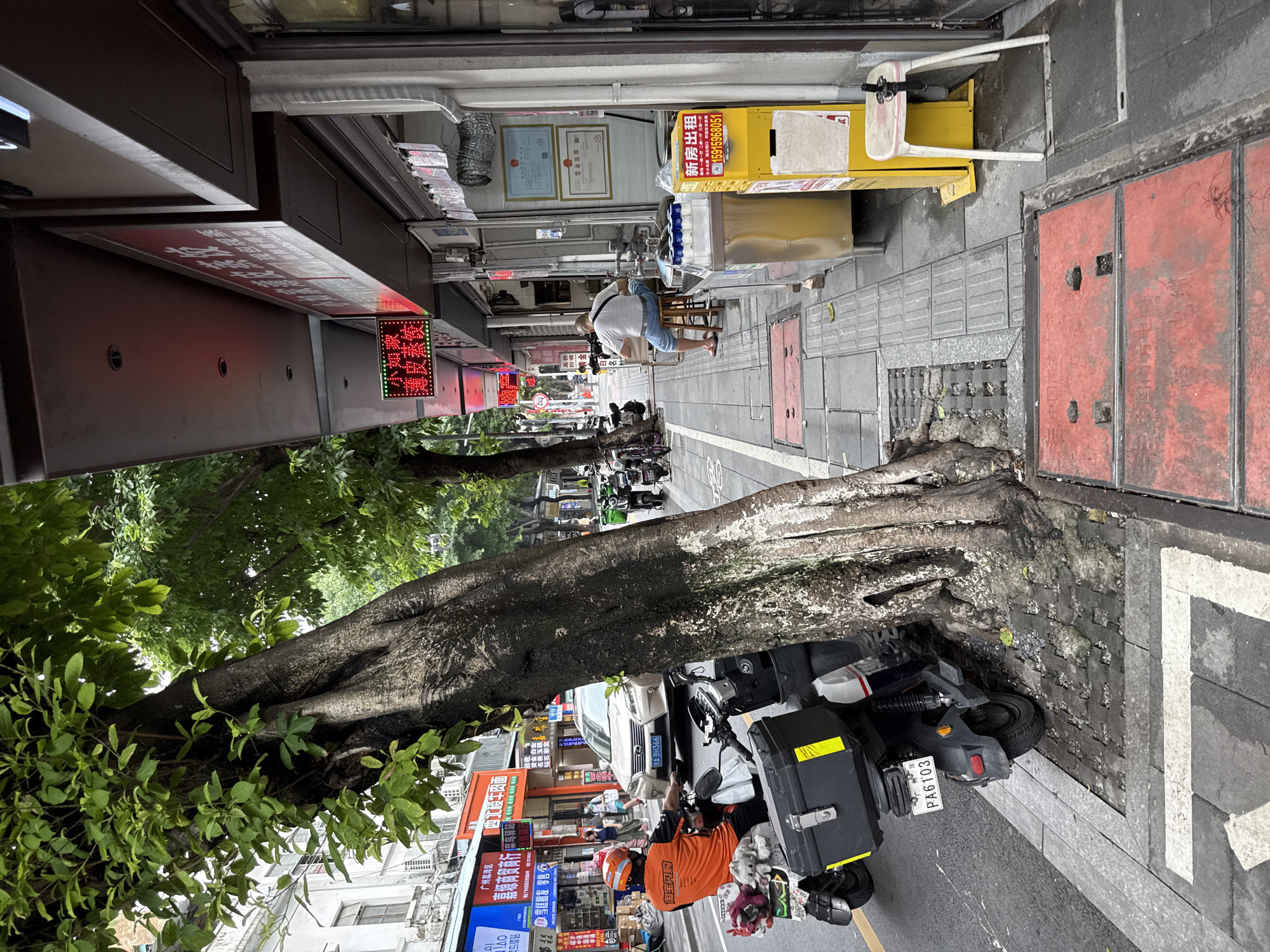 The image depicts a street scene in Liwan District, China. A large tree with a thick, gnarled trunk grows on the sidewalk, adjacent to a street lined with shops. A person wearing an orange uniform and helmet is seated on a scooter, which is parked on the street. Another person, wearing a white t-shirt and blue shorts, is sitting on a stool outside one of the shops. Several other scooters are parked along the sidewalk. The shops have awnings and signs, some with illuminated text. A silver car is visible driving down the street in the background. The sidewalk is paved with grey tiles, and there are red covers on what appear to be manhole or utility access points. The overall environment suggests a bustling urban street with commercial activity.