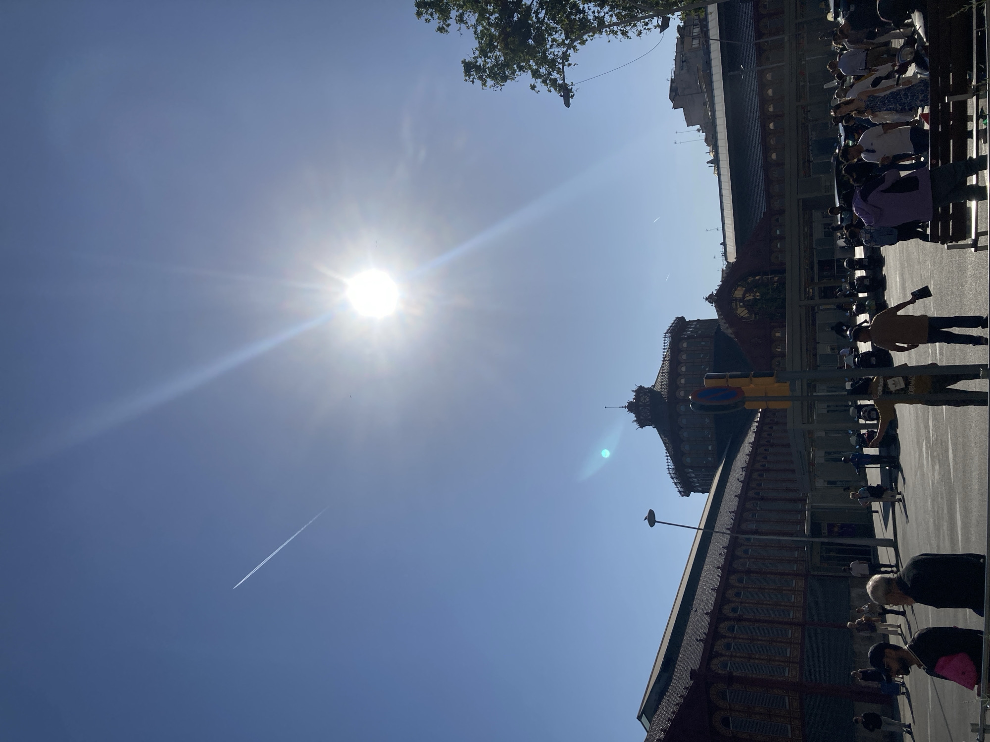 The image captures a bright, sunny daytime scene on a city street, with a low-angle perspective looking up towards the sky and adjacent buildings. The overall composition suggests the camera was held in a portrait orientation but tilted, making the street appear on the right side of the frame and the sky on the left.
The dominant feature is a clear, deep blue sky, occupying a large portion of the upper and central area. A brilliant sunburst, accompanied by prominent lens flares and sunbeams, is visible in the upper left, indicating direct sunlight. A thin, white airplane contrail stretches diagonally across the sky from the lower left towards the upper right. In the top left corner, the green foliage of a tree is visible.
Along the right side of the frame, a series of multi-story buildings with ornate architectural details stands. These structures feature dark, possibly tiled or slate, roofs with decorative elements and facades in various shades, including red-brown and gray. One building in the mid-ground has a distinctive, almost spire-like, peak or turret.
On the street level, below the buildings, numerous people are visible. They appear to be walking or standing, engaged in everyday activities. One person in a light brown shirt is prominent, holding what appears to be a smartphone or similar device. Other individuals are scattered across the pavement, some partially obscured by shadows or other people. Street infrastructure includes a tall street lamp and a traffic light pole. A red circular "no entry" sign with a white horizontal bar is attached to a pole near the traffic light.
The scene depicts a clear, very sunny day, likely during the late morning or early afternoon, given the intensity of the light and the distinct shadows cast. The architectural style suggests an urban environment, possibly in a European city. No discernible text is legible apart from the universal "no entry" symbol.