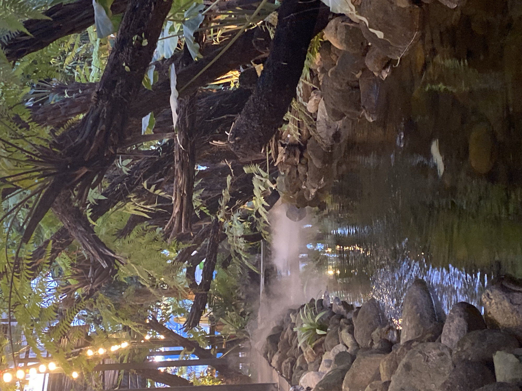 The image depicts an outdoor seating area with a water feature, likely located at a restaurant or cafe in Da Nang, Vietnam, possibly within the city center or a coastal area. The foreground is dominated by a narrow stream with rocky banks, creating a serene and natural ambiance. Mist is gently rising from the water's surface, adding a touch of ethereal beauty to the scene. Large, gnarled tree branches adorned with lush ferns and large-leafed plants overhang the stream, casting shadows and creating a sense of lush, dense foliage. String lights with warm yellow bulbs are visible in the upper left portion of the image, illuminating the overhead canopy and adding a cozy, inviting atmosphere. The water in the stream reflects the ambient light, creating shimmering patterns on its surface. The overall impression is one of a tranquil, tropical oasis, offering a cool respite from the urban environment of Da Nang. There are no people visible in the frame.