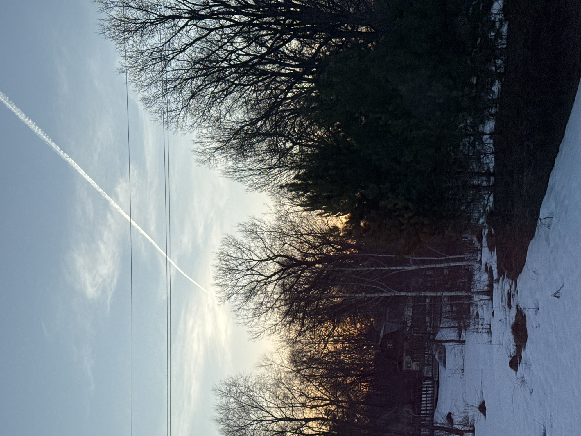 The image presents an early evening landscape, likely in a suburban area of Chaikovsky, Russia, during winter. Patches of snow cover the ground along a tree line. The sky is pale blue with a contrail from a jet plane streaking across it. Utility lines cut across the sky. Silhouetted trees dominate the frame, their bare branches creating a dense network against the sky. In the background, there are hints of houses and fences, suggesting a residential area. The light indicates that sunset is approaching. No people are visible in the image.