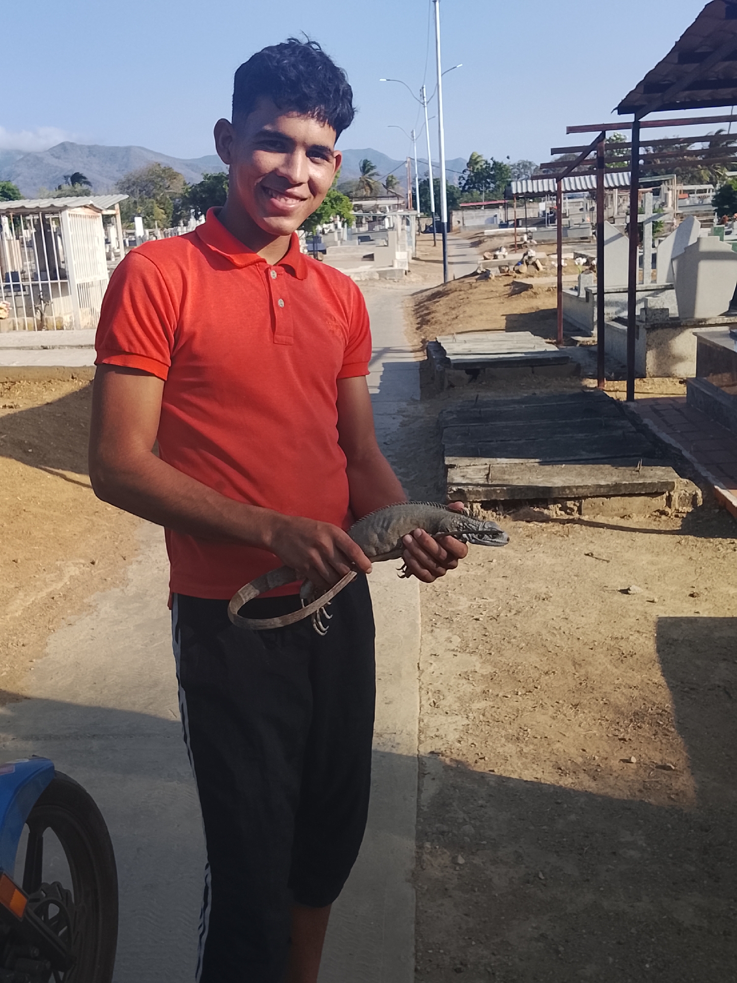 A young man stands in a cemetery, holding a lizard. He wears an orange polo shirt and black pants with a white stripe. The lizard is gray and appears to have a collar around its neck. The cemetery contains various headstones and grave structures. In the background, there is a cityscape with buildings, streets, and utility poles, with mountains in the distance. A blue motorcycle is partially visible in the lower left corner. The scene is set during the day under a clear sky. The location is Altagracia, Venezuela.