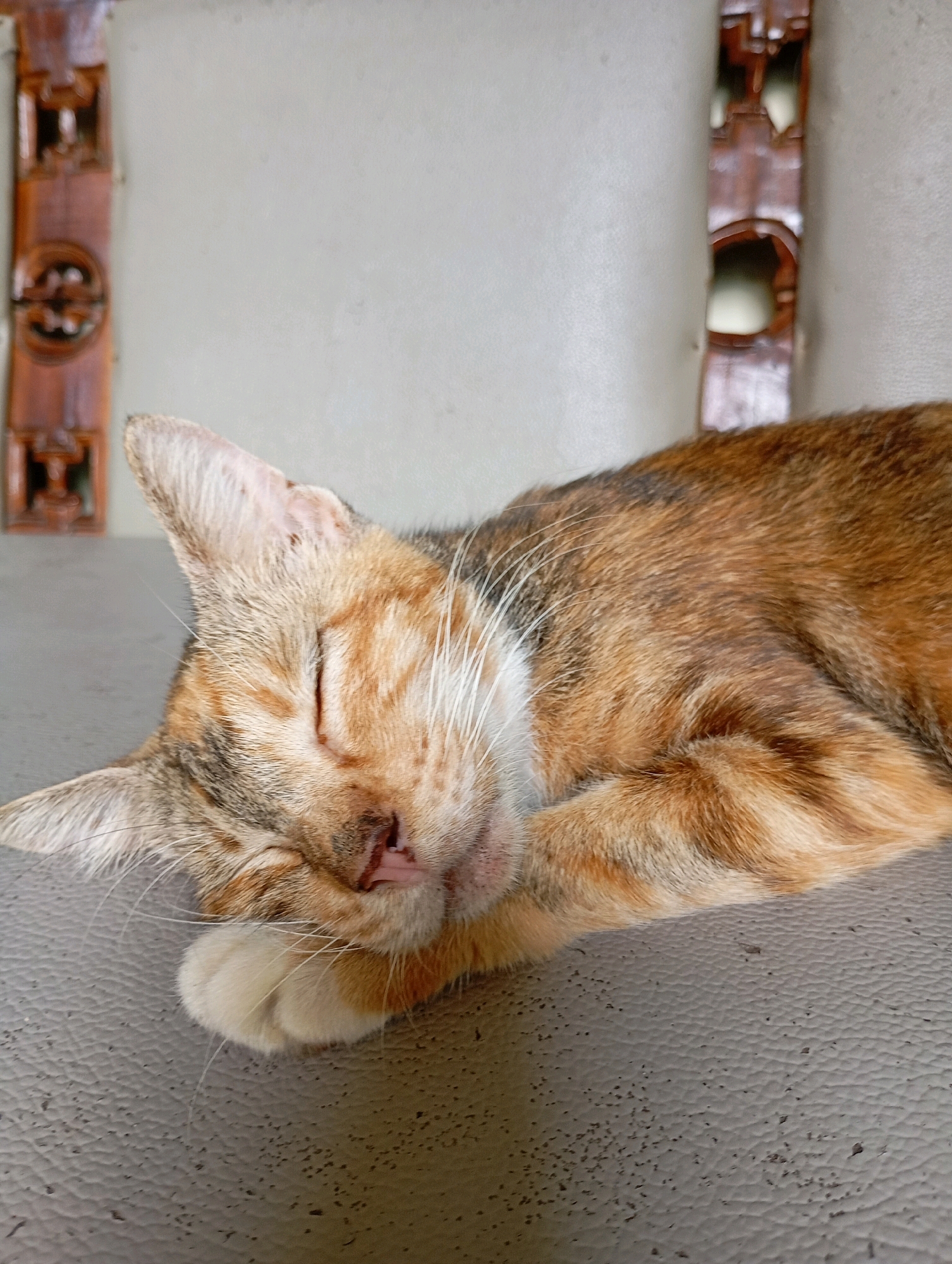 A domestic shorthair cat is sleeping soundly on a textured gray surface, likely a bench or table. The cat's fur displays a calico pattern with patches of orange, black, and white. Its eyes are closed, and its front paw is tucked beneath its head. In the background, two ornate wooden posts with intricate carvings are visible, suggesting an indoor setting with decorative elements. The wall behind the posts appears to be a light, neutral color. This scene is located in Balikpapan, Indonesia, a city known for its coastal environment and rich natural resources.