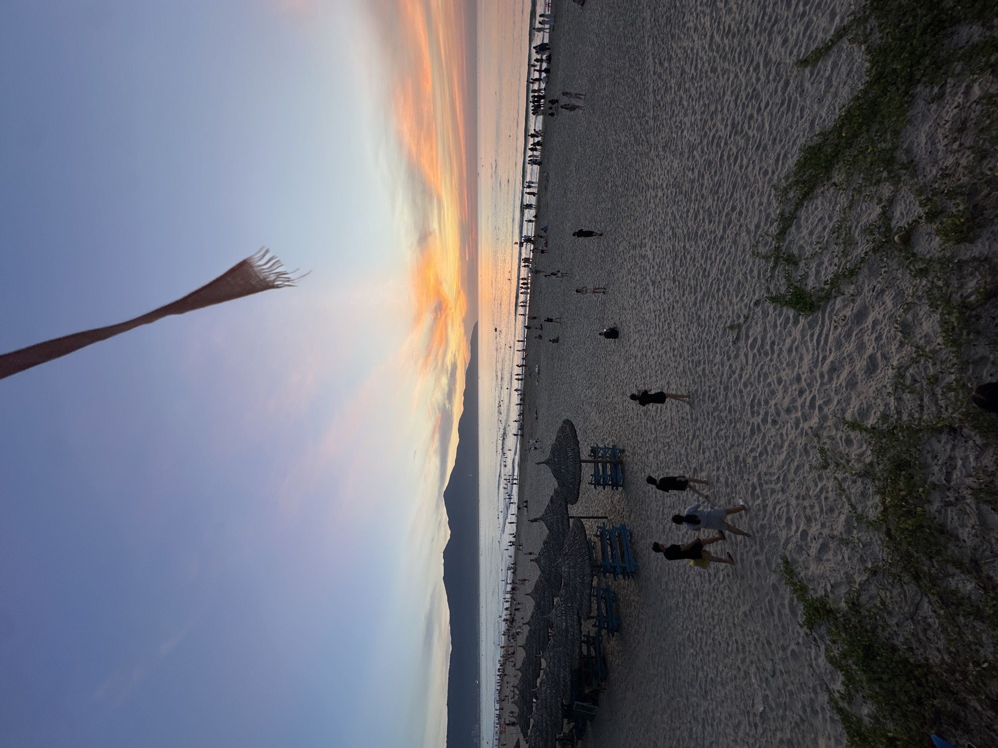 This is a photograph of a crowded beach at sunset, likely Mỹ Khê Beach in Đà Nẵng, Vietnam. The sky displays a gradient of colors from pale blue at the top to warm oranges and pinks near the horizon, indicative of sunset. A reddish-brown fabric with frayed edges hangs from the top of the frame, partially obscuring the sky.
The foreground of the image is dominated by sand, with a scattering of green vines and foliage along the bottom edge. Further back, rows of thatched-roof umbrellas with blue wooden frames are set up on the sand. Numerous people are spread across the beach, with some walking on the sand, others gathered near the umbrellas, and many more in the shallow waters of the ocean. The ocean itself appears calm, with a thin line of waves breaking near the shore. In the distance, a range of dark mountains forms the backdrop to the scene, their silhouettes stark against the colorful sky. Several small boats are visible on the water. The overall atmosphere suggests a popular public space enjoying the evening hours.