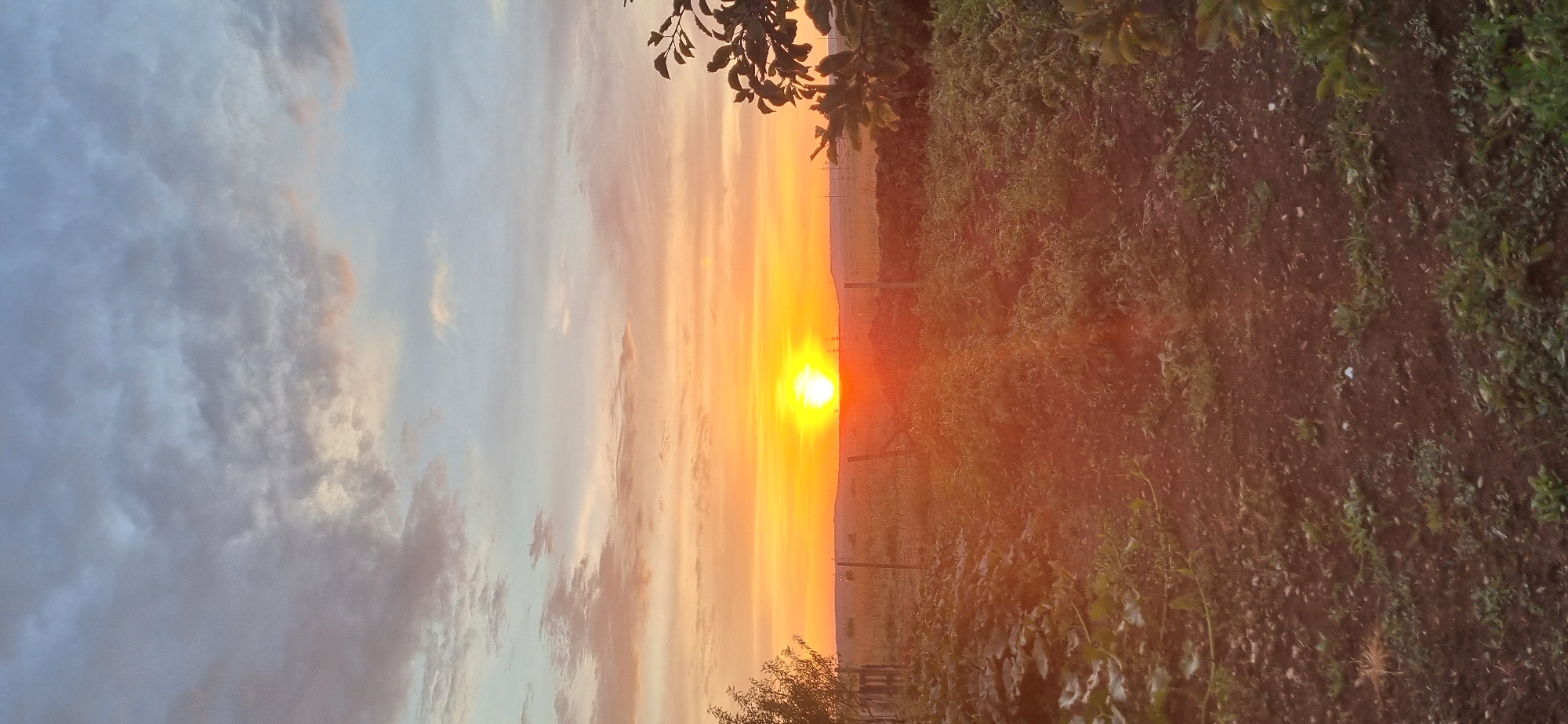 The image depicts a sunset over a rural landscape in Blizhnee, Ukraine. The sun, a bright orange orb, is low on the horizon, casting a warm glow across the sky. The sky is a gradient of colors, from pale blue at the top to vibrant orange and yellow near the horizon, with scattered clouds tinged with pink and gray.
In the foreground, a garden is visible, with rows of green plants and dark soil. The plants appear to be crops, possibly vegetables, with some larger leafy plants on the left and right sides framing the scene. A simple wire fence runs across the middle ground, separating the garden from a field beyond. In the distance, the land is flat, with a line of trees or shrubs marking the horizon. Some faint electrical pylons are also visible in the far distance.
The overall impression is one of a peaceful, rural evening. The lighting suggests it is either sunrise or sunset, with the sun's rays creating a dramatic and colorful sky. There are no people or animals visible in the image. The environment appears to be agricultural, with evidence of cultivation and farming.