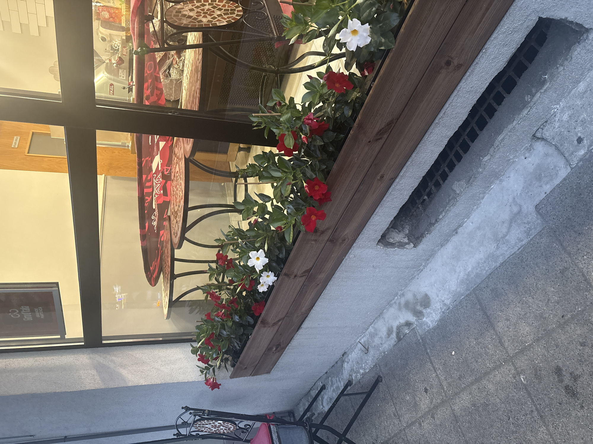 The image depicts a street-level view of a planter box filled with red and white flowers, positioned outside a building with a large window. The planter is constructed of dark wood and sits on a concrete ledge. The window reflects interior lights and displays tables and chairs, suggesting a cafe or restaurant. A metal chair with mosaic accents is visible to the left of the planter. The ground is paved with gray concrete tiles. In the background, a sign in Italian, "Giro d'Italia GRANDE PARTENZA," is visible through the window, indicating the establishment likely relates to Italian cycling events or culture. The overall setting appears to be an urban environment. There are no people visible in the frame. The location is identified as being in the city of Burgas, Bulgaria.