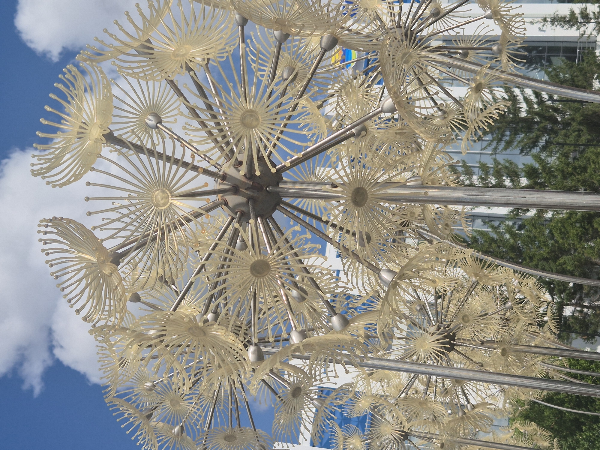 A close-up, low-angle, outdoor photograph captures a large, metallic sculpture resembling dandelions against a bright blue sky with white clouds. The sculpture is composed of numerous spherical, petal-like structures radiating outwards from central points. These structures are made of a light yellow, translucent material, with thin, ribbed petals tipped with small spheres. The sculpture's central elements and supporting stems are silver metal. Behind the sculpture, a modern building with a white facade and blue-tinted windows is partially visible, along with the tops of dark green evergreen trees. This sculpture is located in the city of Kokshetau, Kazakhstan.
