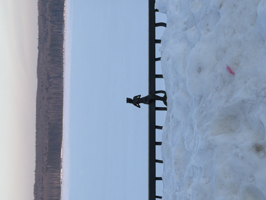 The image depicts a winter landscape along the embankment of the Votkinsk Reservoir in Chaikovsky, Perm Krai, Russia. In the foreground, a substantial accumulation of white, textured snow occupies the lower third of the frame, showing varied contours and depressions. A small, bright pink, elongated object lies partially embedded in the snow on the lower right side. Above the snow, a dark, horizontal wrought-iron railing spans the width of the image. Positioned on this railing, slightly left of center, is a dark, silhouetted statue of a mermaid. The mermaid figure is seated, facing slightly to the left, with its hands held near its chest and its tail curved downwards over the railing. Behind the railing, a vast, flat expanse of frozen, snow-covered water, likely the Votkinsk Reservoir, extends into the mid-distance under a pale blue sky. A dense, dark line of trees, constituting a forest, is visible across the distant horizon, bordering the frozen water. The sky above the forest is largely clear, transitioning from a light blue near the horizon to a faintly lighter hue overhead.