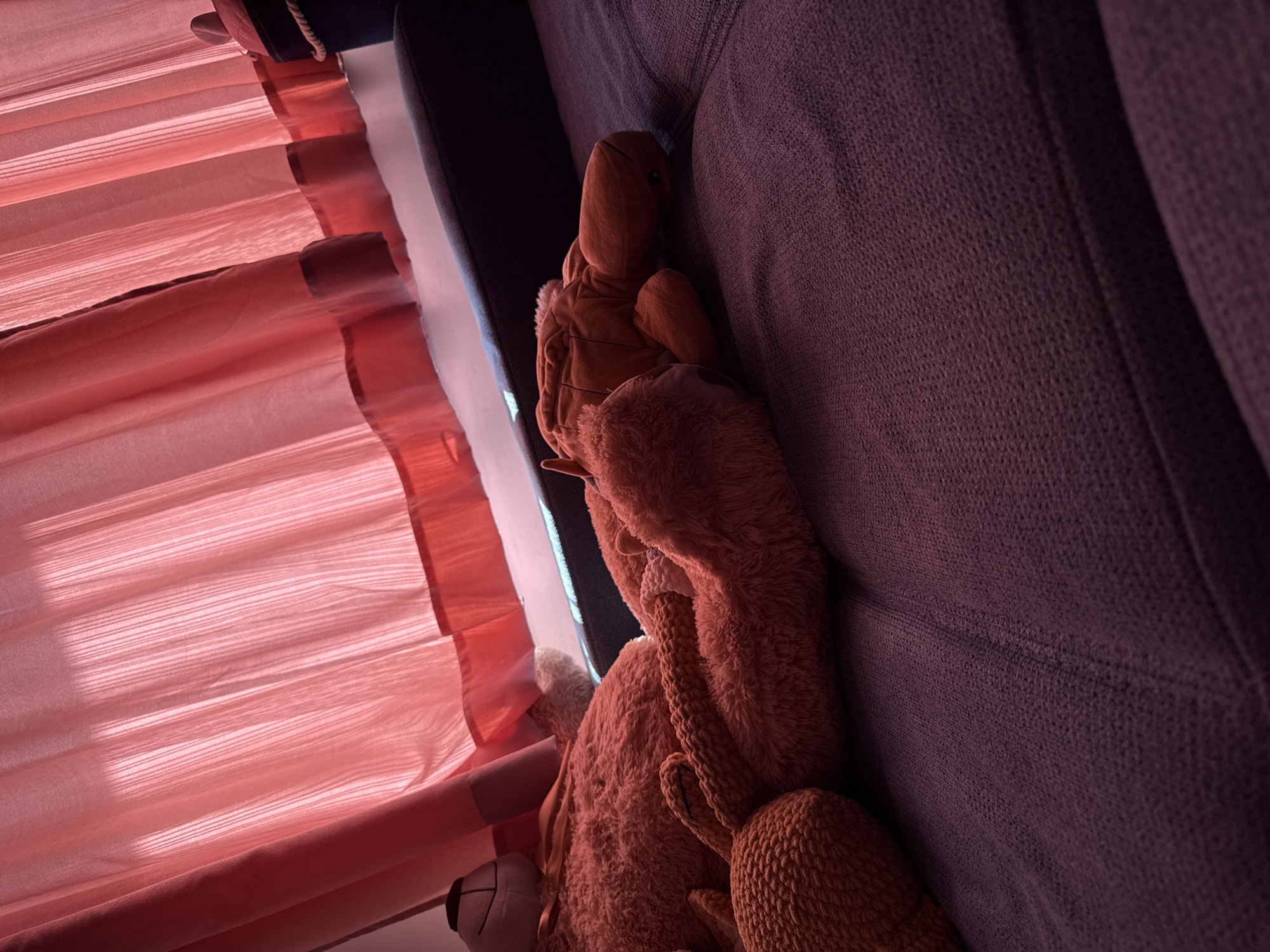 The image shows a close-up view of a domestic scene, likely indoors. On the left, textured, salmon-colored curtains with visible folds are partially drawn. Next to the curtains is a dark grey or purple fabric surface, potentially a couch or sofa. A collection of brown plush toys rests on the sofa. The setting appears to be a private residence, but the specific location in Sofia, Bulgaria cannot be determined from the image. No people or specific actions are observable. The primary objects are the curtains, the sofa, and the plush toys.