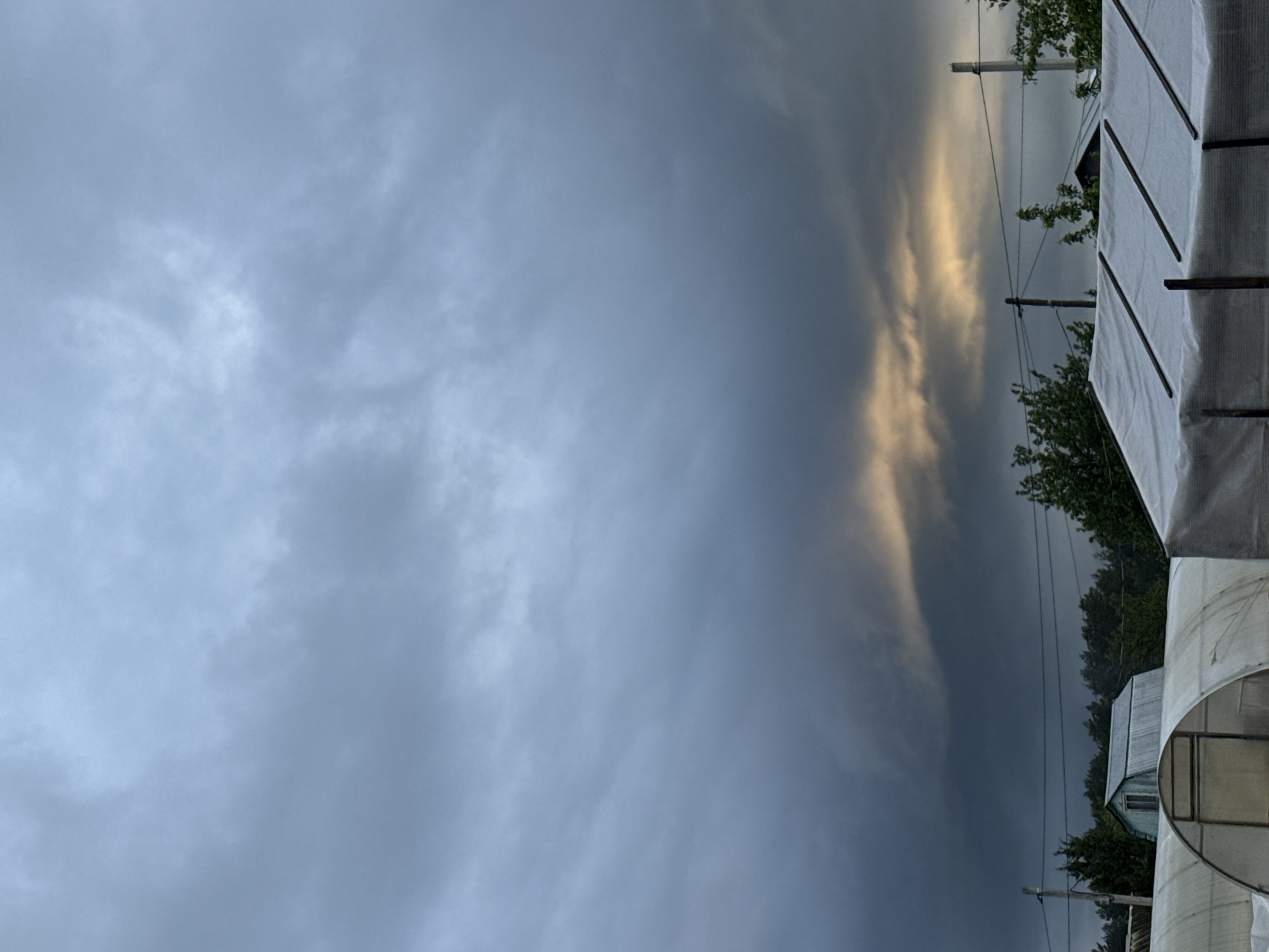 The image captures a dramatic sky dominating the upper two-thirds of the frame, characterized by dense, dark grey storm clouds. A striking feature is a vertical band of bright, yellowish-orange light cutting through the clouds on the far right, suggesting either the sun breaking through or a reflection at a low angle. The bottom third of the image depicts a rural or semi-rural landscape.
Visible objects include several utility poles with power lines stretching across the mid-ground. Lush green trees are abundant, partially obscuring a small, light-colored building that appears to be a shed or a small house. On the right side, parts of two white, translucent structures are visible, likely greenhouses or covered shelters. One has a distinct curved, tunnel-like shape, while another nearby exhibits a more angular roofline.
No people are present, and no specific activity is taking place; the scene focuses on the atmospheric conditions and the static landscape. The dark clouds and the dramatic contrast with the bright light suggest the image was taken during or immediately after a storm, possibly in the late afternoon or early evening as the sun sets or emerges. The setting, with its utility infrastructure, trees, and agricultural-style structures, aligns with a rural environment, consistent with the provided location context of Chaikovsky, Russia. There is no visible text in the image.