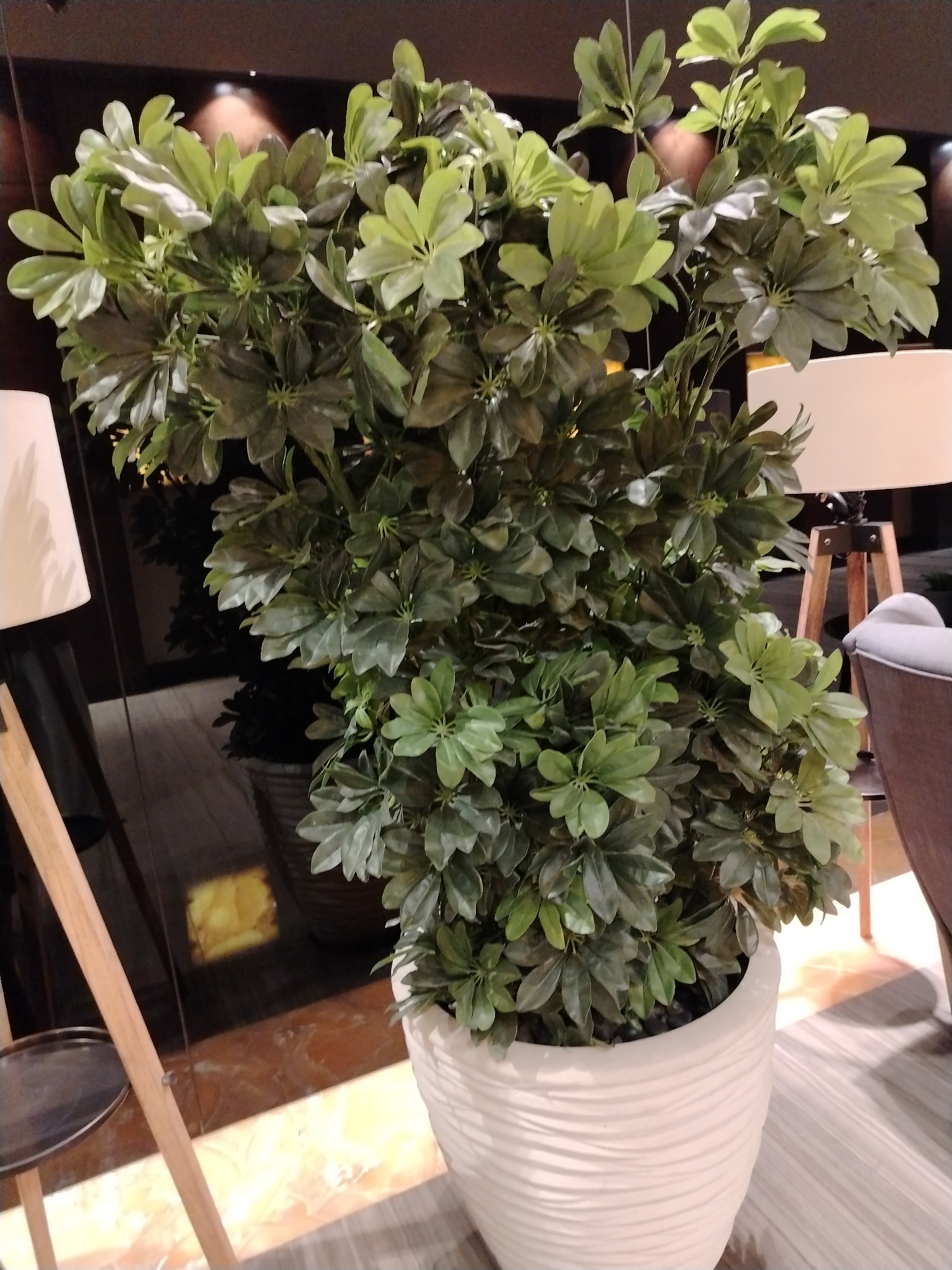 A large, potted artificial plant with dark green leaves occupies the foreground of the image. The plant is in a white, textured pot. To the left of the plant, a floor lamp with a white shade and a wooden stand is visible. The background shows a reflective surface, possibly a mirror or glass, revealing the reflection of another potted plant, a wooden tripod lamp with a beige shade, and a portion of a grey armchair. The floor appears to be a light-colored wood or laminate, with warm-toned patterned tiles visible in the lower right. The lighting suggests an indoor setting, likely a hotel lobby or a well-decorated living space. The scene is static and does not depict any activity or people. There is no specific indication of its location within Dubai, United Arab Emirates.