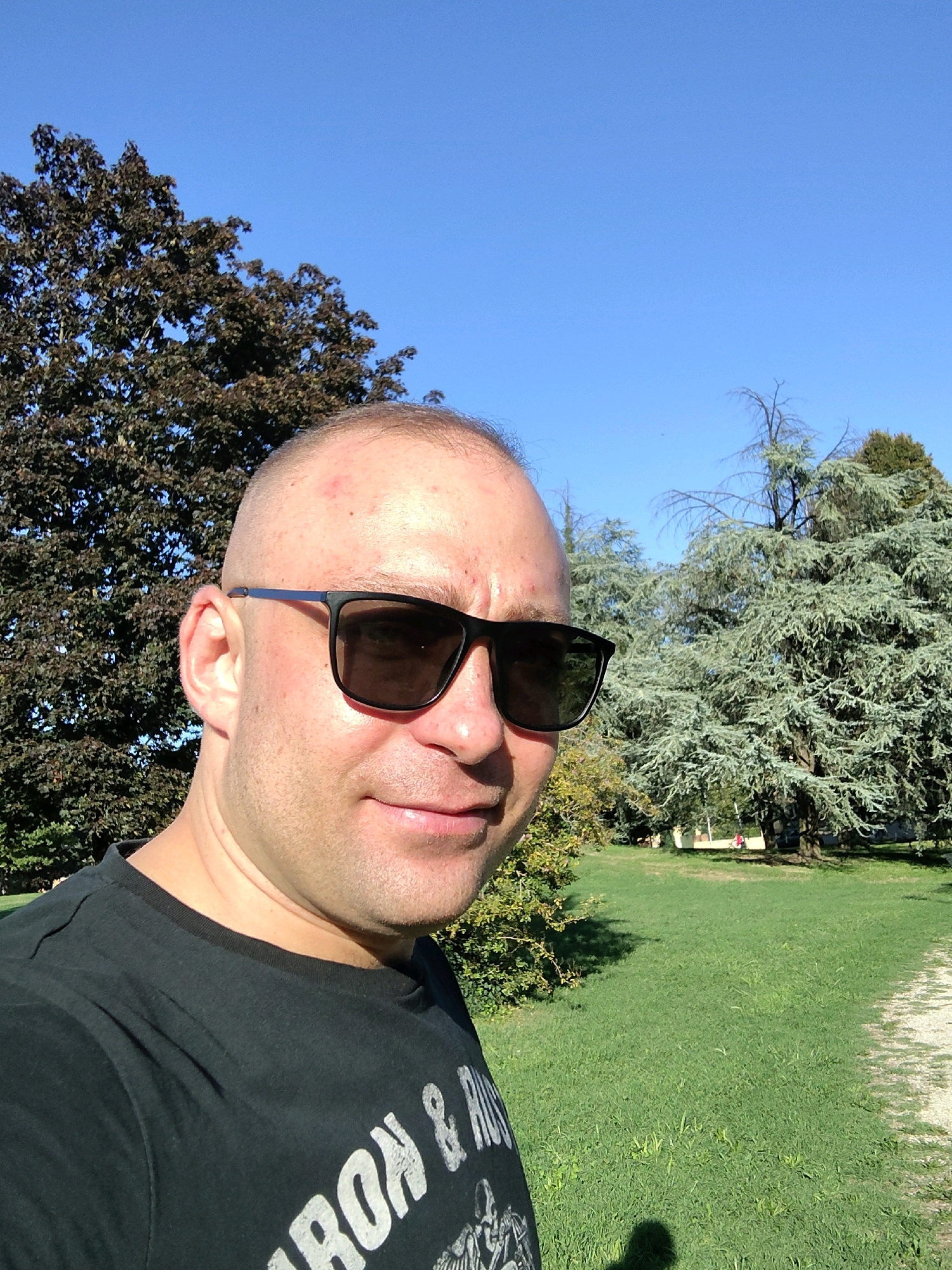 A man with a shaved head and sunglasses is taking a selfie outdoors. He is wearing a black t-shirt. Behind him, there is a grassy area with trees and a clear blue sky. The setting appears to be a park.