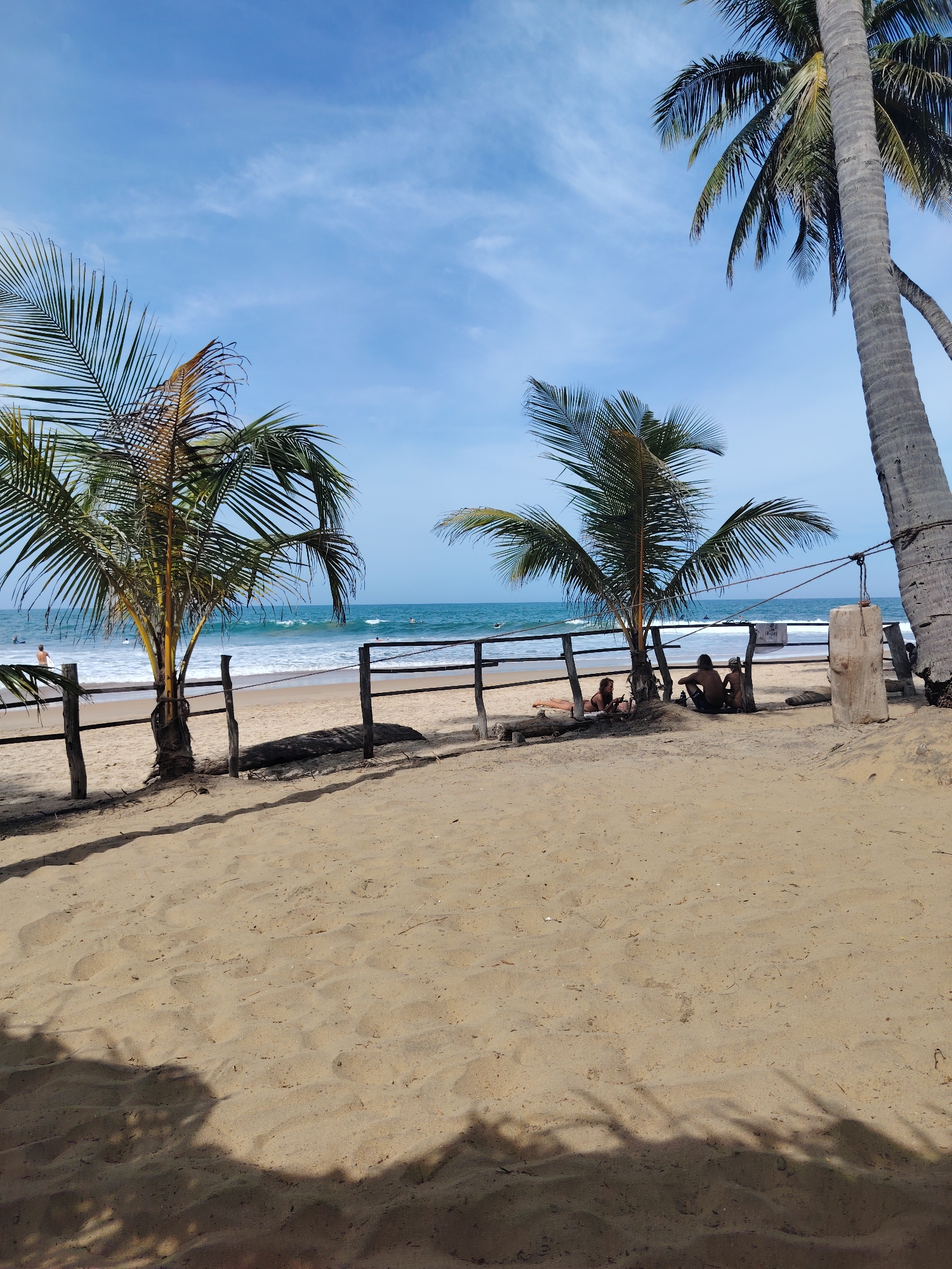 A daytime, medium shot captures a sandy beach scene with the ocean and sky as the backdrop. In the foreground, a wide expanse of light brown sand stretches towards a wooden fence that separates the beach from the ocean. Several palm trees with green fronds are positioned throughout the frame, with one large palm tree on the right side of the image and two smaller ones on the left. The ocean is a deep blue with moderate waves breaking on the shore. The sky is a clear blue with scattered white clouds. A few people are visible in the background, some near the water and others relaxing on the sand behind the fence. The overall atmosphere is peaceful and relaxed, indicative of a tropical beach setting.