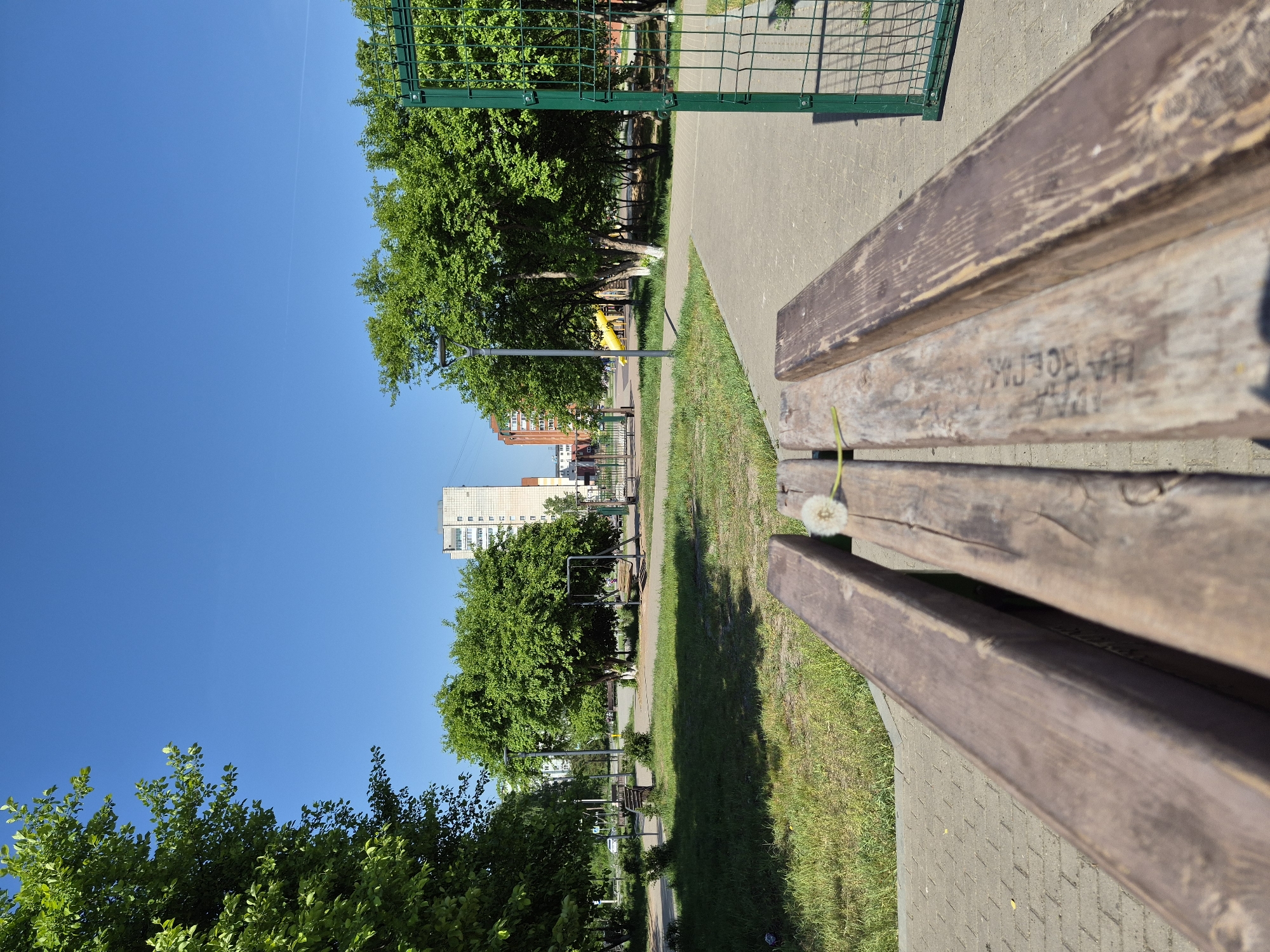 The image captures a park scene in an urban setting. A wooden bench is prominently featured in the foreground, with a dandelion resting on its slats. In the middle ground, a grassy path extends into the distance, bordered by trees and benches. A playground structure is visible amidst the trees, suggesting a recreational area. In the background, residential buildings rise against a clear blue sky. The image appears to be taken in a park in the city of Unknown, Unknown.