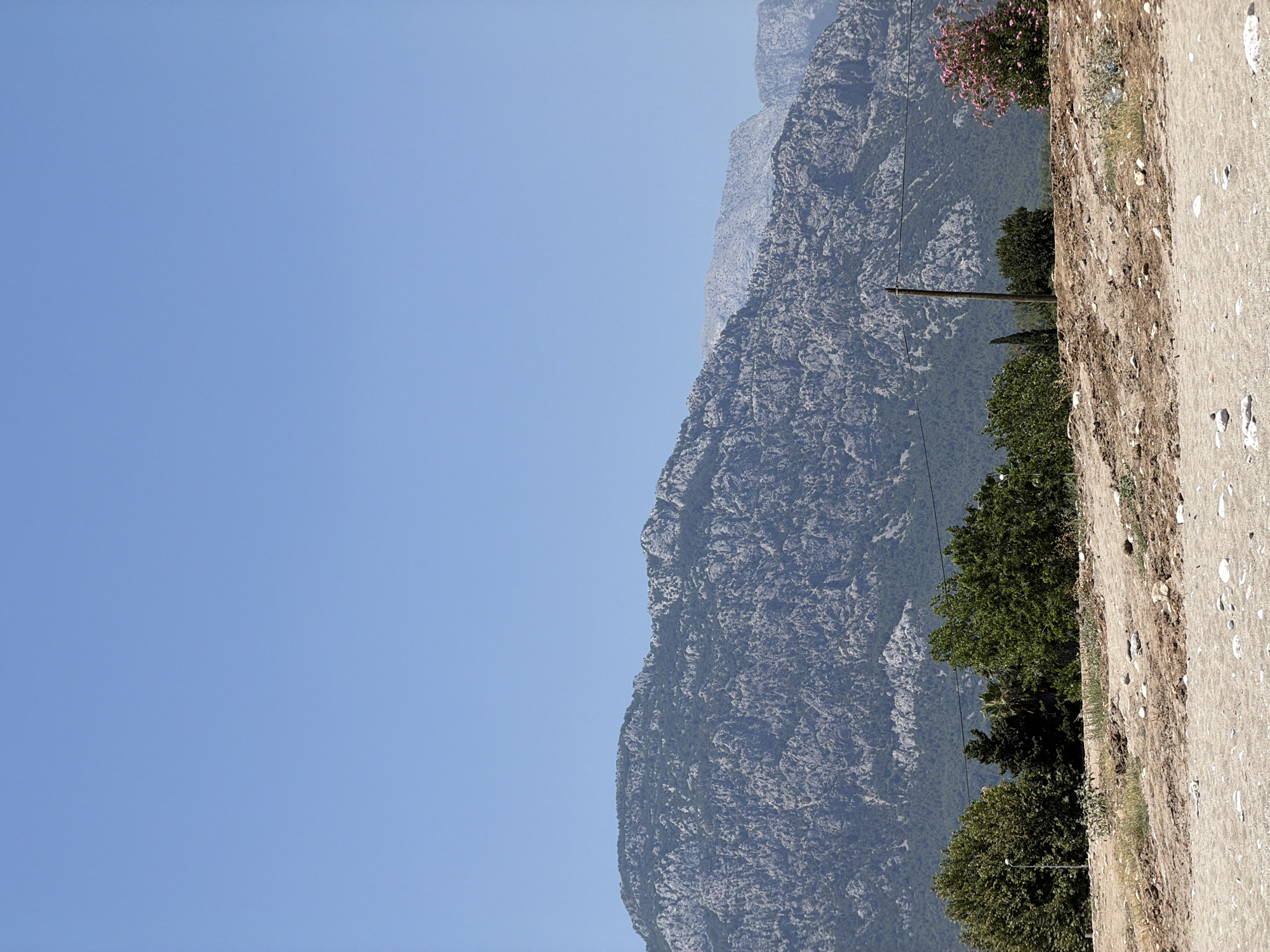 The image depicts a sun-drenched landscape with a clear blue sky dominating the upper portion. In the mid-ground, a rugged, rocky mountain range stretches across the horizon, sparsely dotted with dark green vegetation. Below the mountains, a line of lush green trees forms a verdant band. The foreground is a sandy, uneven terrain with scattered pebbles and dry vegetation. A simple wooden utility pole with wires stretches across the scene, near a vibrant pink flowering bush. This scene is consistent with the natural beauty found in the outskirts of Kemer, Turkey, known for its mountainous backdrop and coastal proximity. There are no people or animals visible in the image, and no discernible actions or interactions are taking place. The environment appears dry and summery.