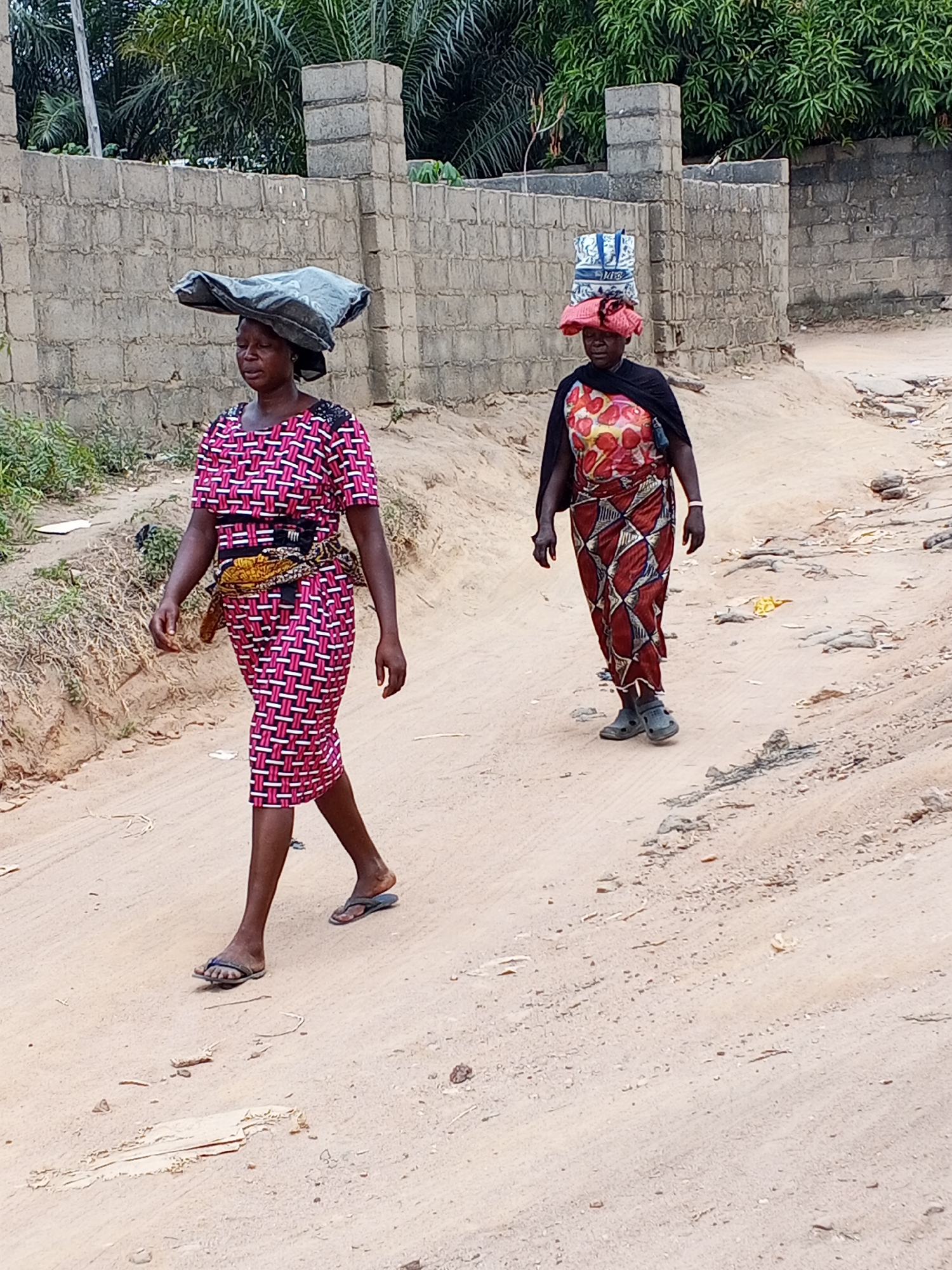 Two women walk along a sandy, unpaved road in Adonkolo, Nigeria, carrying items balanced on their heads. In the foreground, a woman moves from left to right, wearing a short-sleeved pink and black patterned dress with a yellow and patterned fabric tied around her waist. A large, dark, soft bundle is balanced on her head. She wears dark flip-flops.
Behind her, a second woman walks in the same direction. She is dressed in a red and yellow patterned top, a long red and brown patterned wrap skirt, and a black shawl. Her head supports a red headwrap, upon which a white and blue patterned bag and another object are stacked. She wears grey clogs.
The setting is an outdoor, daytime scene on a light brown dirt road, which shows signs of use and minor debris. In the background, a low wall made of grey concrete blocks is visible, partially hidden by dense green tropical foliage and palm trees. The bright and clear lighting suggests it is sunny. The women appear to be engaged in routine travel or transport of goods, a common practice in the region. No visible text is present in the image.