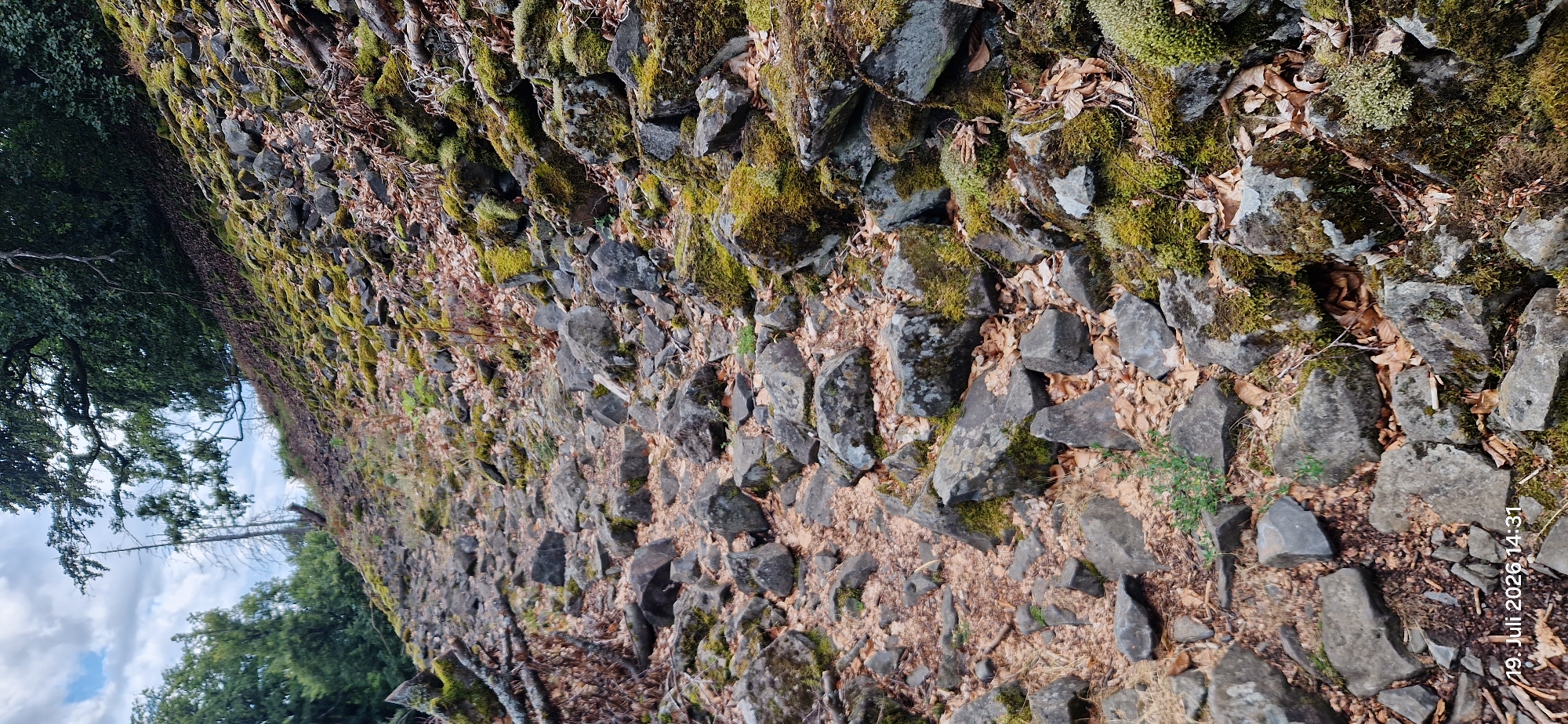 The image depicts a rocky, upward-sloping path in a wooded area. The path is covered with a mix of stones, fallen leaves, and moss. Trees with green foliage and a dead, bare tree are visible on the left side of the path, and denser foliage forms the background on the right. The lighting suggests an overcast day. The scene is characteristic of the Naturpark Nördlicher Oberpfälzer Wald region surrounding Neustadt am Kulm, Germany, likely a hiking trail. There are no people or animals present. The timestamp at the bottom of the image indicates it was taken on July 19, 2026, at 14:31.