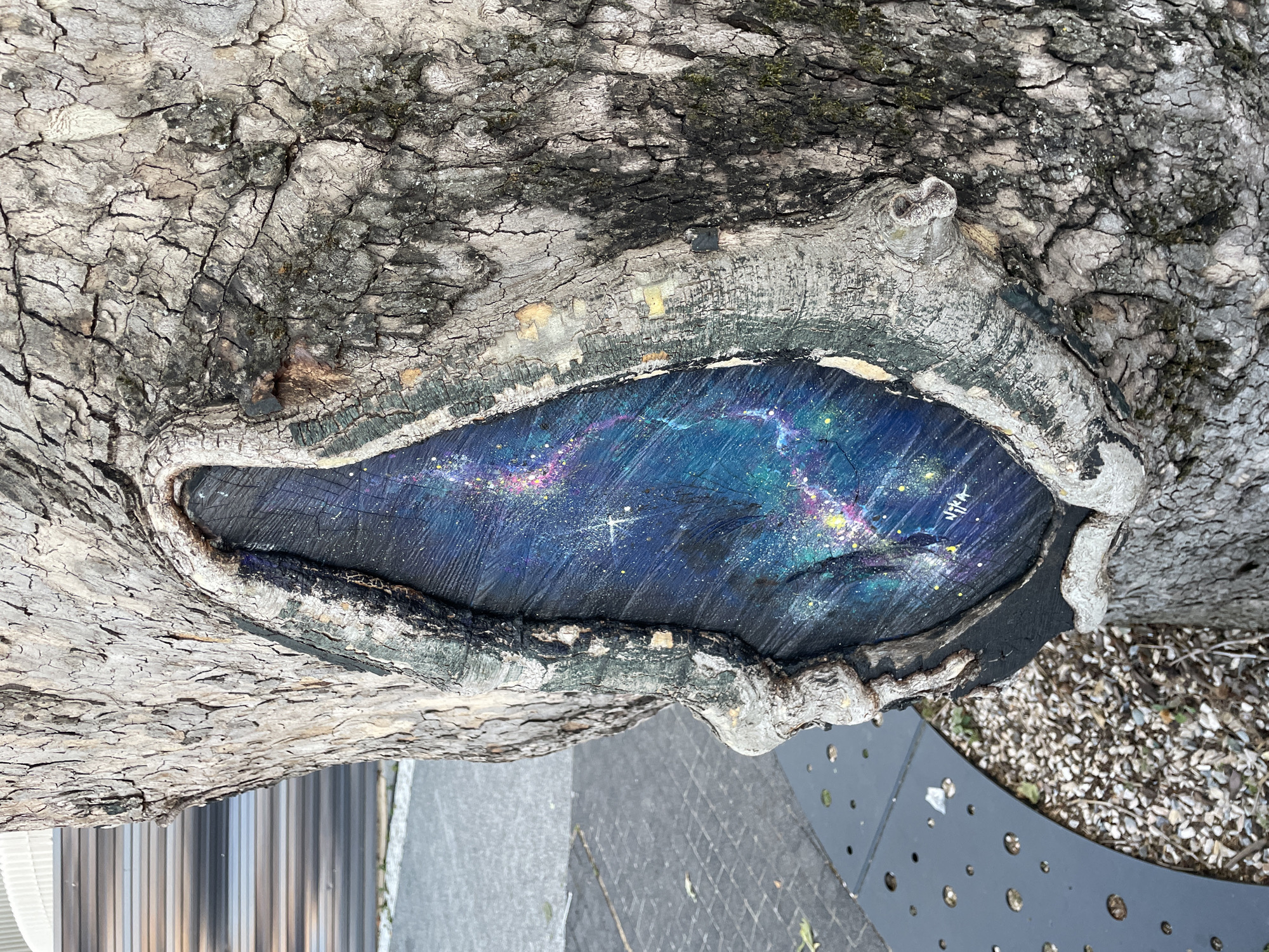 The image shows a close-up view of a tree trunk with a carved-out section that has been painted to resemble a galaxy. The galaxy art features swirling blues, purples, and pinks with numerous white and yellow dots representing stars and nebulae. A signature, "Nyka," is visible in white paint on the lower right side of the galaxy painting. The tree bark is rough and textured, with visible cracks and some moss. In the background, out of focus, is a paved area with a metal bench and a building with a corrugated metal facade. The scene appears to be outdoors in an urban or park-like setting. There are no people visible in the image. The location is identified as the city of Sochi, Russia.