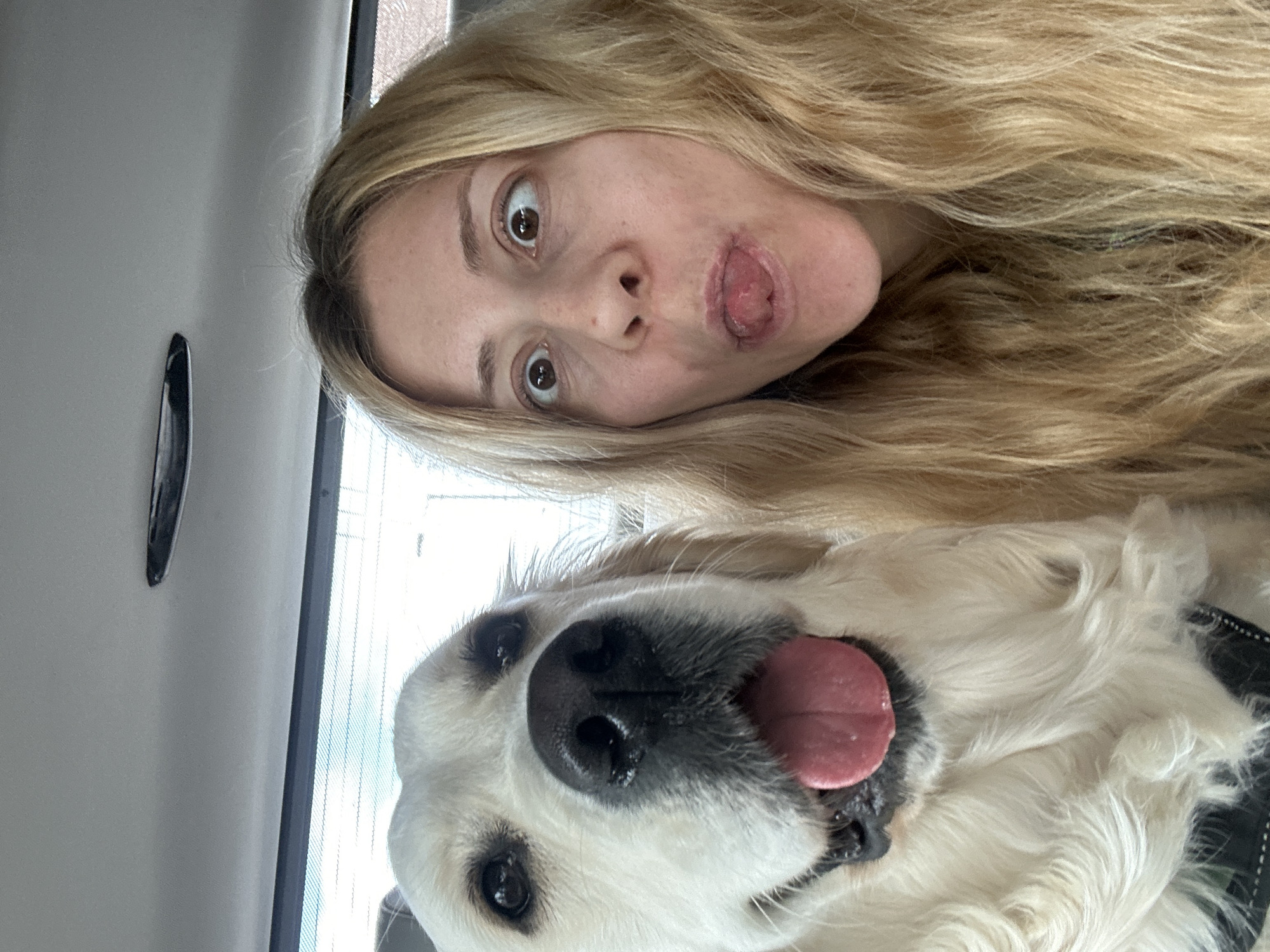 The image is an unconventional selfie taken from a low angle, seemingly inside a vehicle. A fair-skinned woman with light blonde hair is positioned at the top of the frame. Her eyes are wide and her mouth is open with her tongue protruding in a playful expression. Below her, a large, white Golden Retriever dog is looking up at the camera with its mouth open and tongue lolling out. The dog has a black collar on. The background is a car door and a window showing the exterior of a building. There is no contextual information in the image to indicate this is in London, United Kingdom.