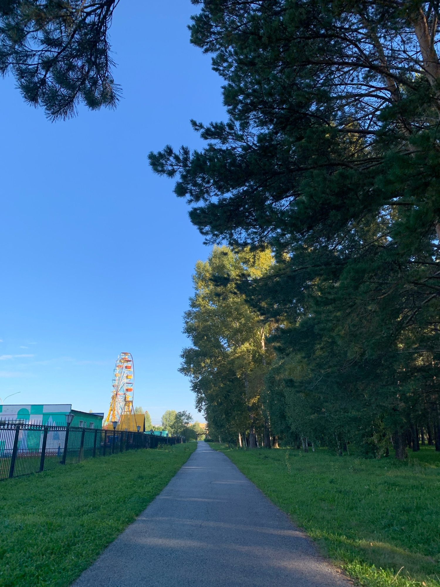 The image depicts a paved pathway running through a grassy area bordered by trees. In the background, a Ferris wheel is visible, along with a building and a fence. The sky is clear and blue. This scene is located in Prokopyevsk, Russia.