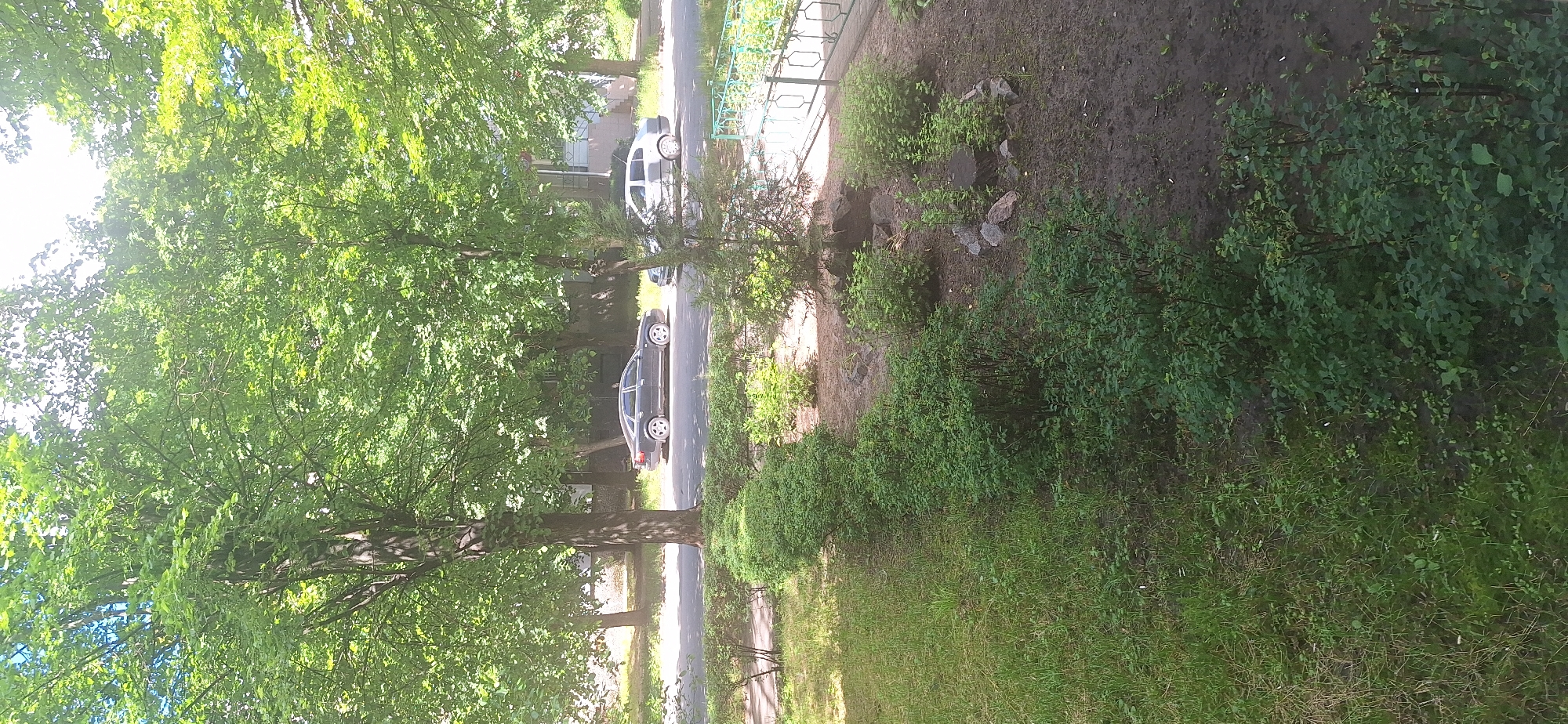 The image depicts a residential street in Bila Tserkva, Ukraine, on a sunny day. The foreground is dominated by a neatly trimmed row of green bushes, with a patch of mown grass to the left and a muddy area with scattered rocks and a tree stump to the right. Beyond the bushes, a paved road runs horizontally across the mid-ground. Two cars are parked on the roadside: a dark sedan on the left and a lighter-colored sedan to its right. The background features a line of mature trees with lush green foliage, casting dappled sunlight onto the street and sidewalk. A building with visible windows and a railing is partially visible behind the trees on the right side of the image. No people are visible in the scene.
