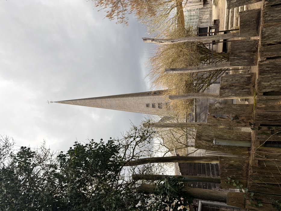 The image displays the St. Elisabeth's Church spire in Neu-Ulm, Germany, specifically within the Glacis-Anlagen area, under an overcast grey sky. The tall, slender spire, constructed from light brown or grey wooden shingles and topped with a golden cross, dominates the upper-center of the frame. Its lower section features narrow, dark vertical openings, possibly louvers.
In the foreground, a rustic fence runs horizontally, composed of irregularly cut, weathered wooden log sections positioned vertically. Some sections exhibit minor moss or ivy growth. Immediately behind this fence, several taller, rough-hewn wooden posts stand upright.
The midground features a mixture of vegetation: dense evergreen foliage on the left and numerous bare deciduous trees and bushes scattered throughout, indicative of late winter or early spring. To the left, partially obscured by trees, a small, dark wooden shed-like structure is visible. To the right, a larger wooden structure, potentially a raised platform or ramp, is partially observed beyond the fence and bushes. No individuals are present in the scene.