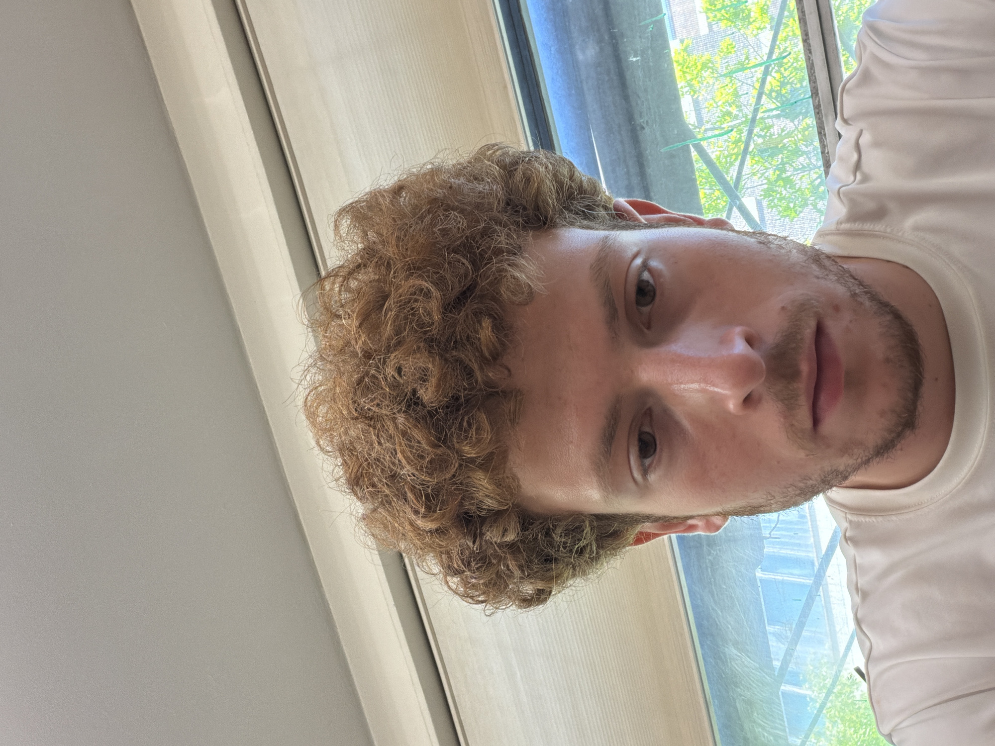 A man with curly auburn hair, a short beard, and fair skin is centered in the frame. He wears a white shirt and looks directly at the viewer. Behind him is a window with a view of trees and buildings, suggesting an urban setting, likely New York City. The window frame is visible, with light filtering through. The background includes neutral-colored walls, indicating an interior space.