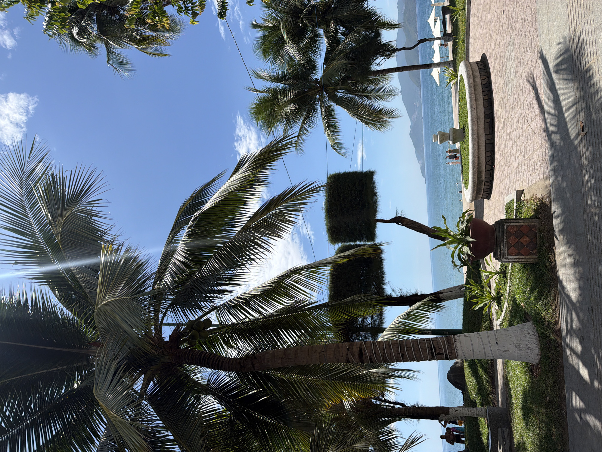 This is a sunlit, eye-level outdoor shot of a tropical coastal area, likely in Nha Trang, Vietnam, on a clear, bright day with blue skies and scattered white clouds. The foreground is dominated by a paved walkway with the distinct shadows of palm fronds cast upon it. To the left, a large palm tree with white-banded trunk stands prominently, its fronds reaching towards the top of the frame. Beyond it, more palm trees and meticulously trimmed, square-shaped bushes line a grassy area.
In the mid-ground, a circular concrete fountain, filled with lush greenery, sits on the paved area, creating a focal point. A few people are visible near the fountain and the beach. The ocean stretches out to the horizon, appearing calm and blue, with a distant, hazy mountain range visible in the background. Several white beach umbrellas are set up on the sandy area closer to the water, suggesting a public beach or resort. The overall impression is one of a serene tropical resort environment.