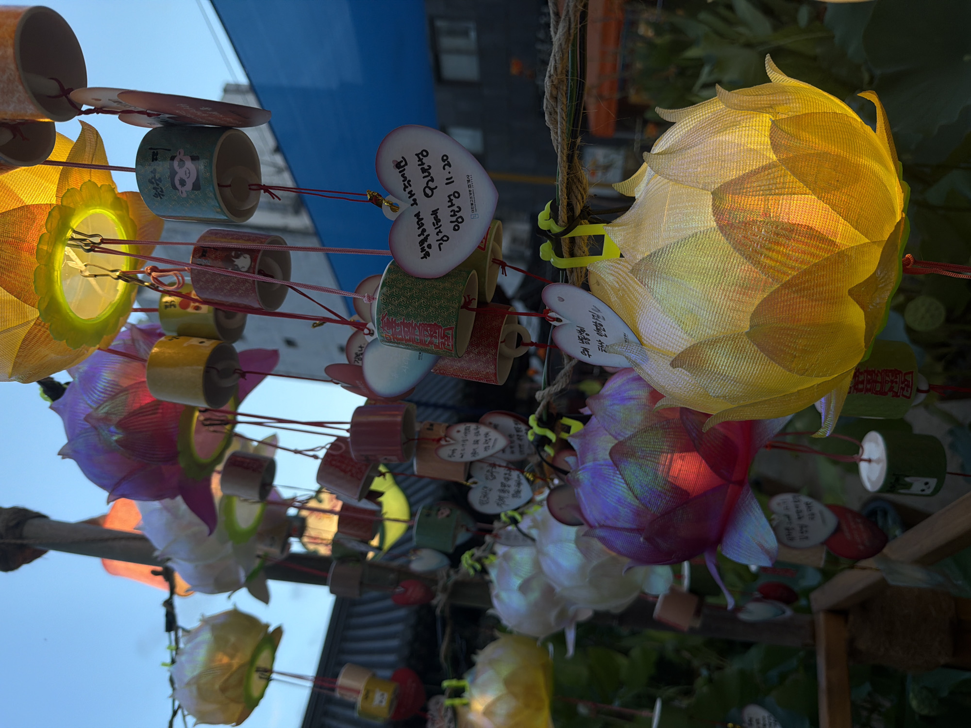 The image shows a close-up of several lotus-shaped lanterns, illuminated from within, hanging outdoors. These lanterns are of various colors, including yellow, white, purple, and pink. Attached to the lanterns by red strings are small, cylindrical wind chimes and heart-shaped ornaments with handwritten messages in Korean. The background suggests an urban setting, with buildings and a blue tarp visible. The lighting indicates it is either dusk or dawn. This scene is likely from Insadong, a district in Seoul, South Korea, known for its traditional crafts, tea houses, and art galleries, which often features such decorative items and festive displays. There are no people visible in the frame, and no discernable actions or interactions taking place.