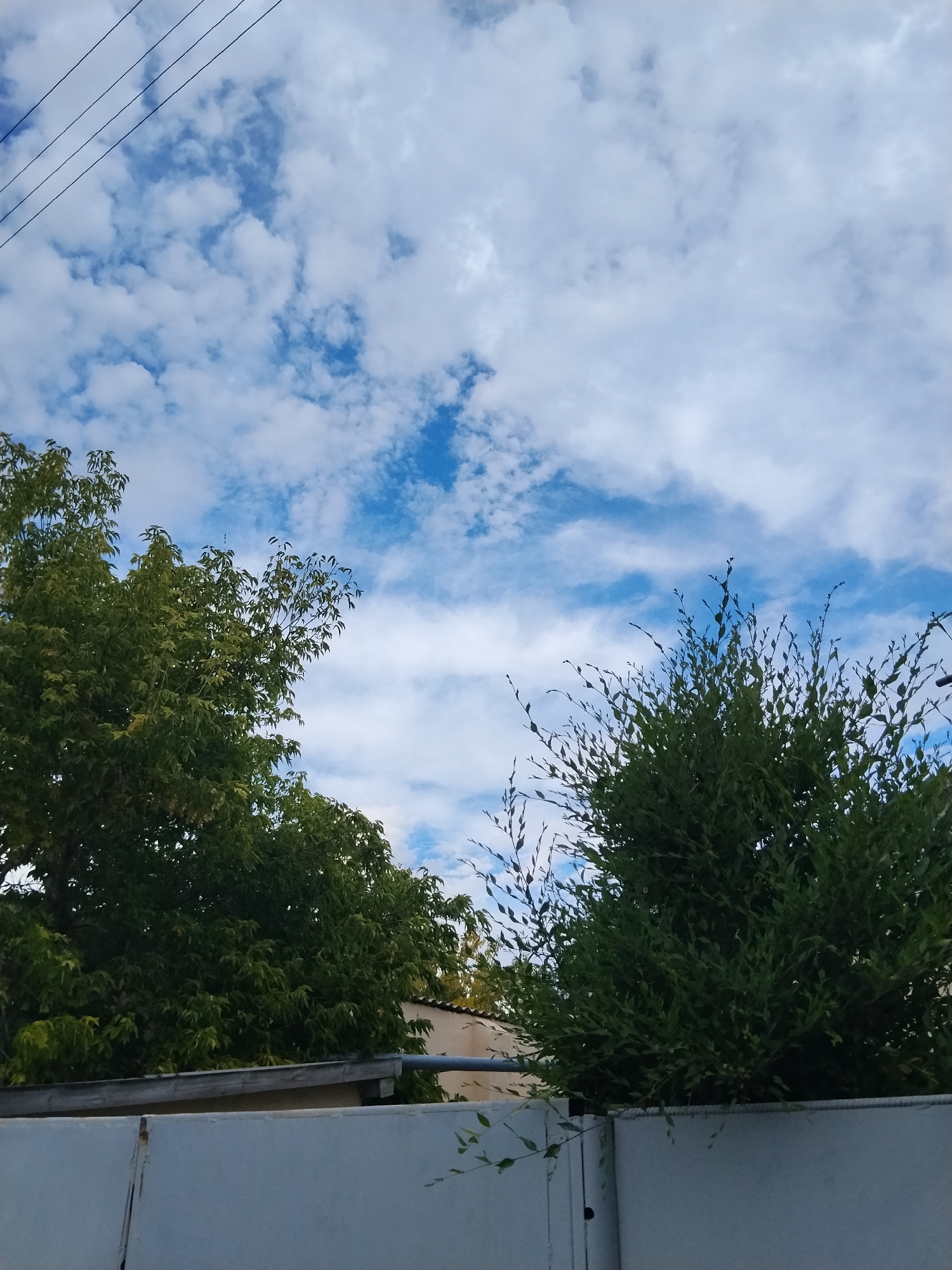 The image captures a view of the sky with scattered clouds, framed by the tops of two trees and a fence. On the left, a dense, leafy green tree is visible, with its branches reaching towards the sky. On the right, a bush with smaller leaves and thinner branches is positioned in front of a darker green foliage. The sky is a vibrant blue, with wispy white clouds forming patterns. There are also thin, dark wires running diagonally across the upper left portion of the image. In the background, a portion of a building with a tiled roof and a pipe is discernible behind the trees. The foreground features a light-colored, somewhat weathered fence. This scene is consistent with an outdoor setting in the city of Kokshetau, Kazakhstan, likely in a residential or semi-urban area, given the presence of trees, a fence, and overhead wires. No people are present in the image, and no specific actions or interactions are depicted. The lighting suggests it is daytime.