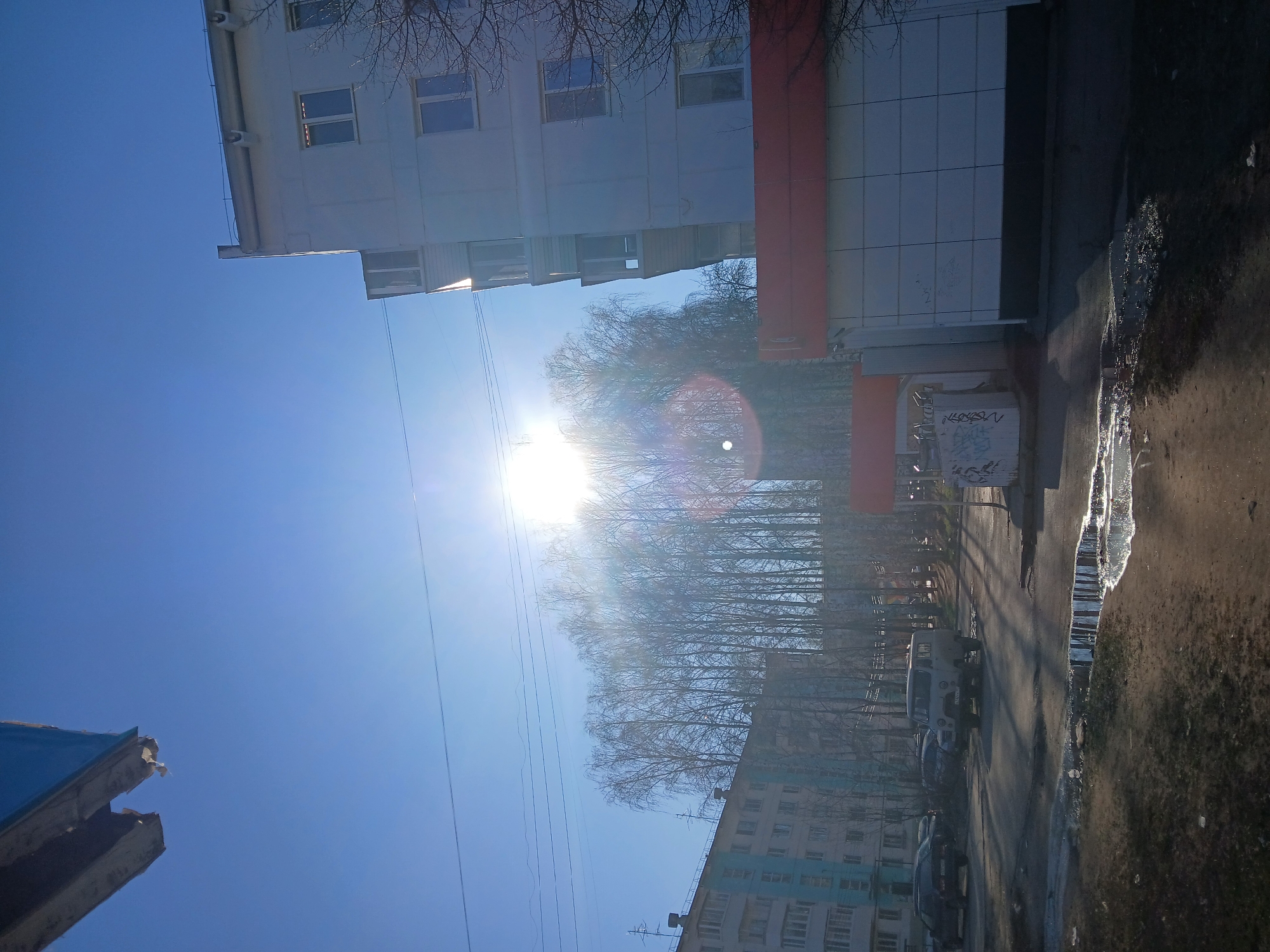 The image presents an upward-angled street view in Chaikovsky, Russia, dominated by buildings and a line of bare trees silhouetted against a bright, nearly blinding sun. The buildings are multi-story, with a pale, possibly white or light gray facade, and a red section. The street is wet. Several cars are parked on the street. The angle suggests the photograph was taken from a low vantage point.
