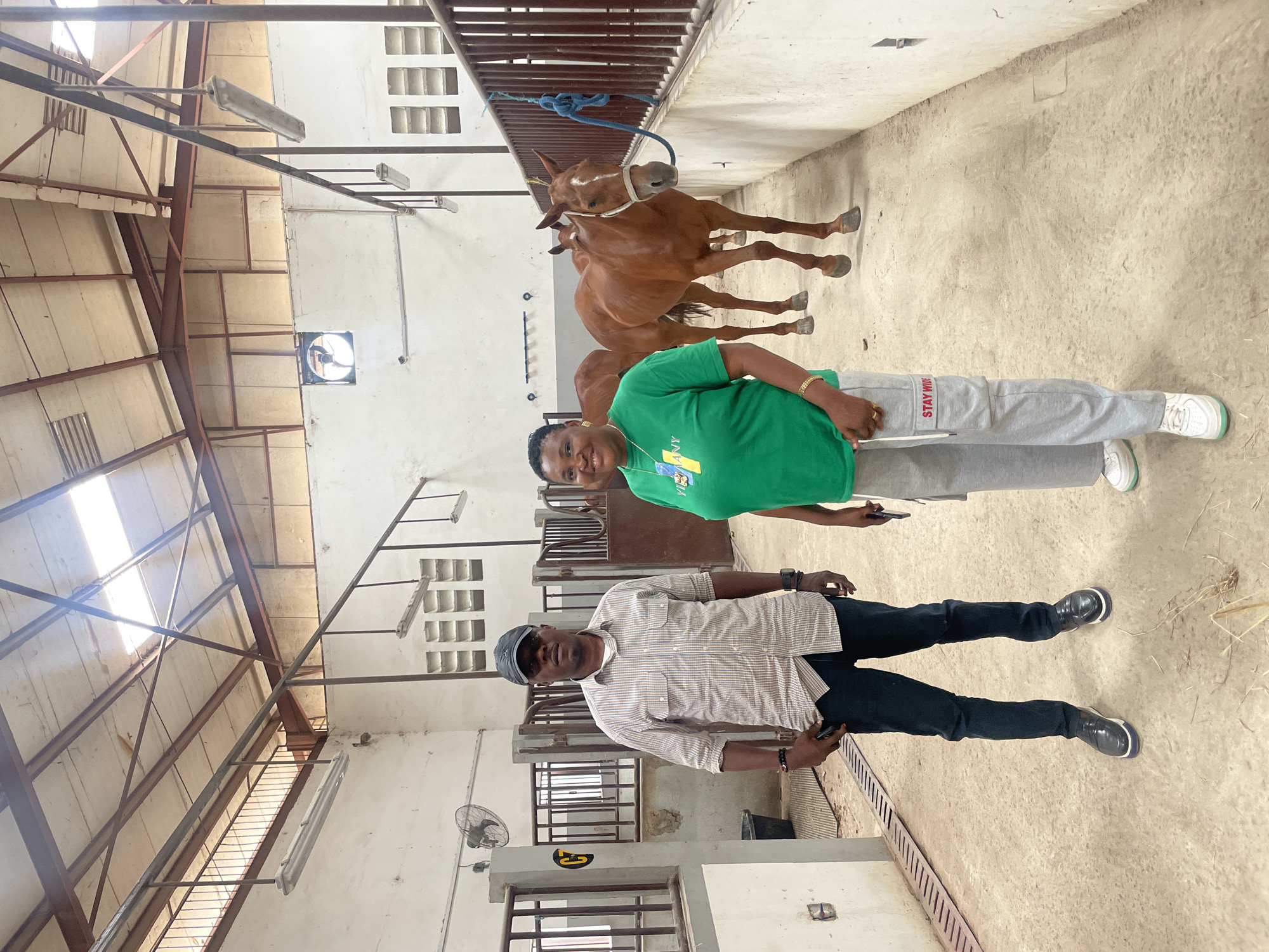 Two individuals stand in a horse stable in Hayin Banki, Nigeria. The stable has white walls, a metal roof structure, and barred stall partitions. A horse stands behind them, tethered with a blue rope to an overhead bar. One person is wearing a striped shirt, dark pants, and a cap. The other person is wearing a green shirt and gray sweatpants with the phrase "STAY WILD" on the side. Both are holding mobile phones. The ground is light tan. Overhead lighting fixtures are visible.
