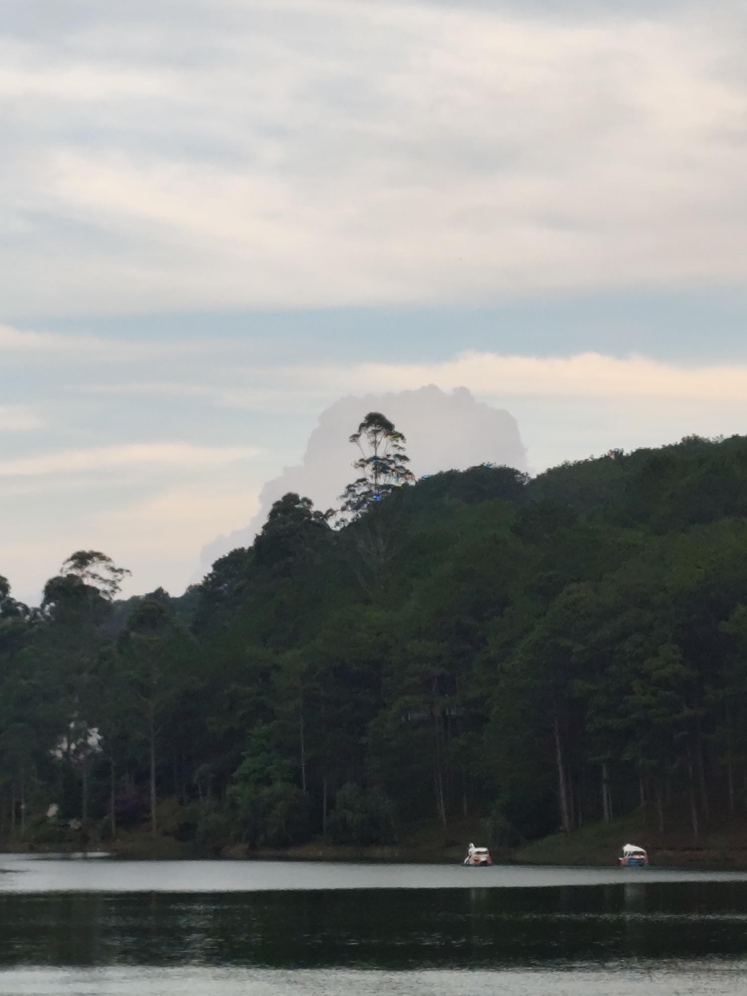 Captured at a lake in Da Lat, Vietnam, the scene reveals a body of water flanked by a dense, green, forested hillside. The sky overhead is an overcast sky with various shades of light and darker clouds. Two small, light-colored boats are positioned on the water near the treeline, appearing unattended. A tall tree sits slightly higher up on the hillside with what appears to be a cloud right behind it.