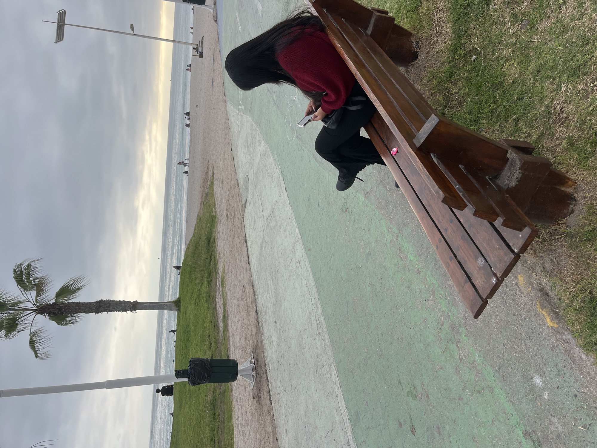 The image depicts a woman with long black hair, wearing a maroon sweater and black pants, sitting on a wooden bench on a cloudy day. She is holding a smartphone in her hands, appearing to be engaged with it. The bench is positioned on a grassy area adjacent to a paved path. In the background, a beach with several people is visible, along with the ocean and a palm tree. The scene is consistent with a public park or promenade in Iquique, Chile, known for its coastline and recreational areas. The lighting suggests it is either early morning or late afternoon.