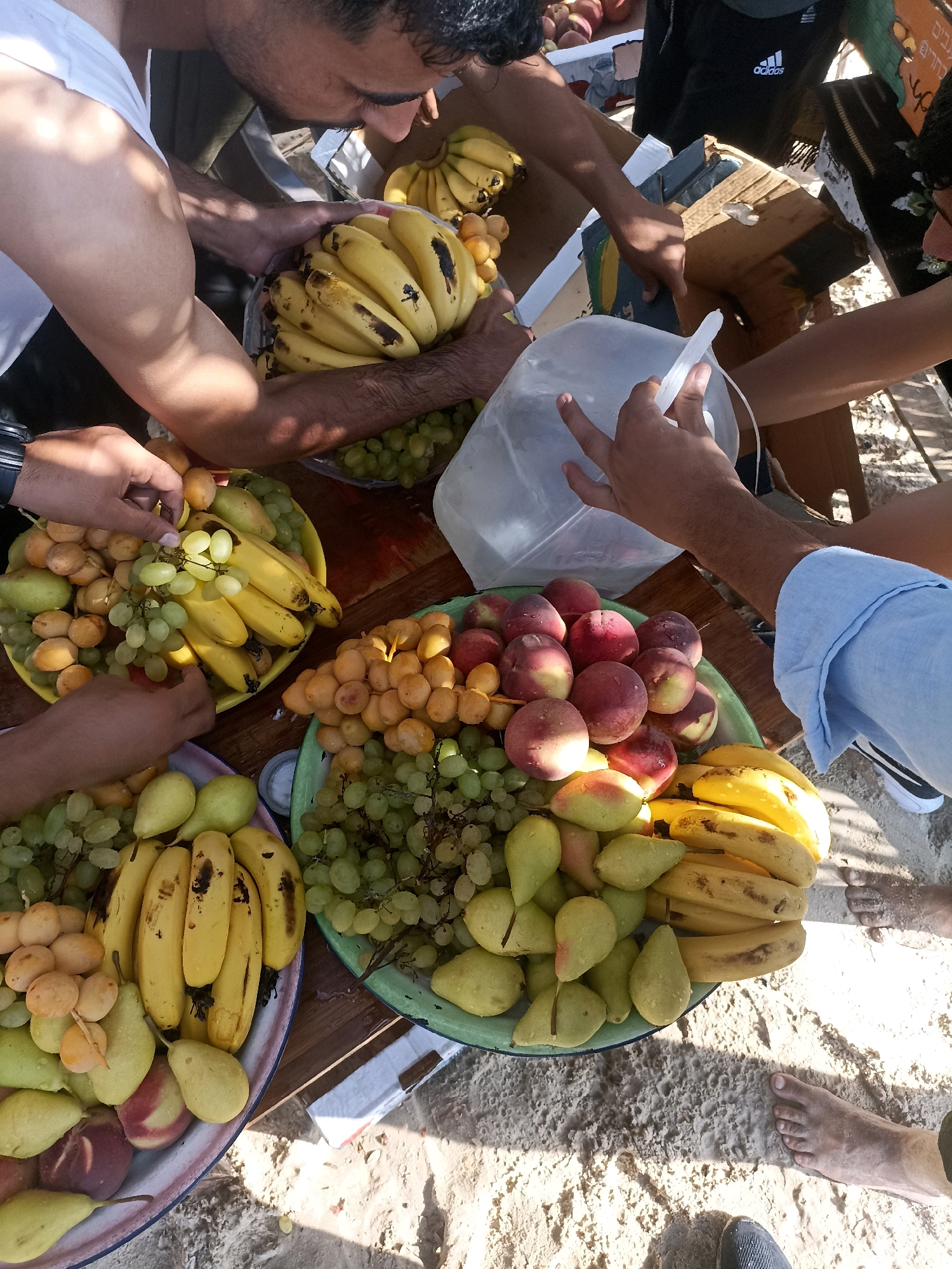 In Gaza City, Palestinian Territories, on a sunny day with sandy ground, a group of individuals are gathered around a wooden table laden with various fruits. Two men, one wearing a white t-shirt and another a dark shirt with an Adidas logo, are actively involved with the fruit. Their hands are visible, reaching into or holding bunches of yellow bananas. One man is closely examining a bunch of bananas. Other hands are also present, interacting with the fruit, suggesting a communal activity.
The table displays large platters and bowls overflowing with fruits. Prominently featured are large bunches of ripe yellow bananas, some showing slight browning. Interspersed with the bananas are green grapes, small oval yellow dates, and various types of pears, some green and others with reddish blush. A tray on the right holds what appear to be ripe peaches or nectarines, with their characteristic reddish-pink skin. A clear plastic bag is also visible, with hands reaching towards it. The overall scene depicts an abundance of fresh produce being organized or distributed, possibly at an outdoor market or a gathering. The sandy environment indicates an outdoor setting, possibly near a beach or in an open, arid area.